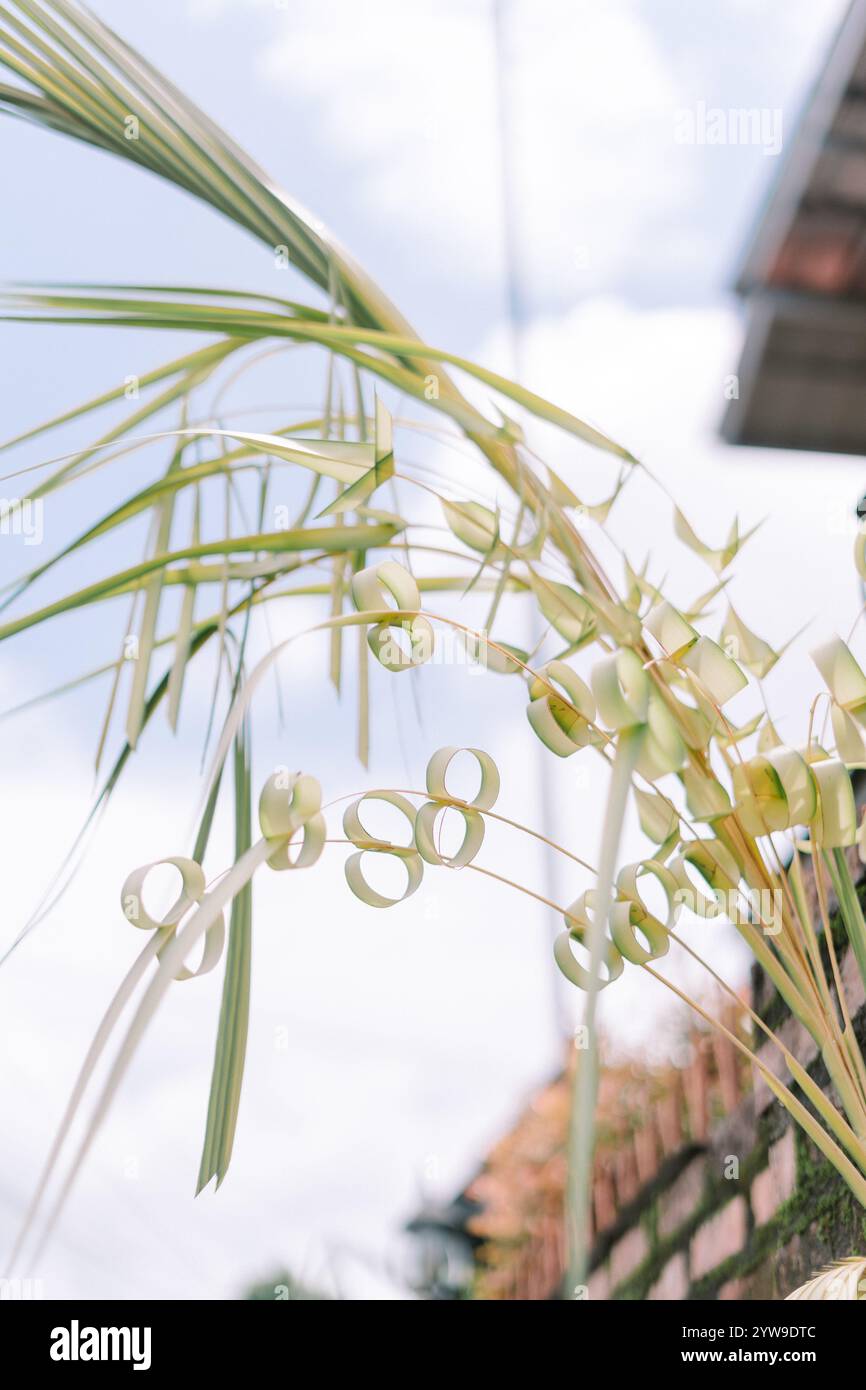 Decorazione tradizionale di foglie di cocco gialle (janur kuning), spesso usata nelle cerimonie culturali e nelle celebrazioni nel sud-est asiatico Foto Stock