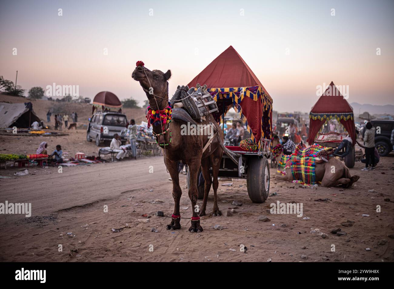 Pushkar Camel Fair Foto Stock