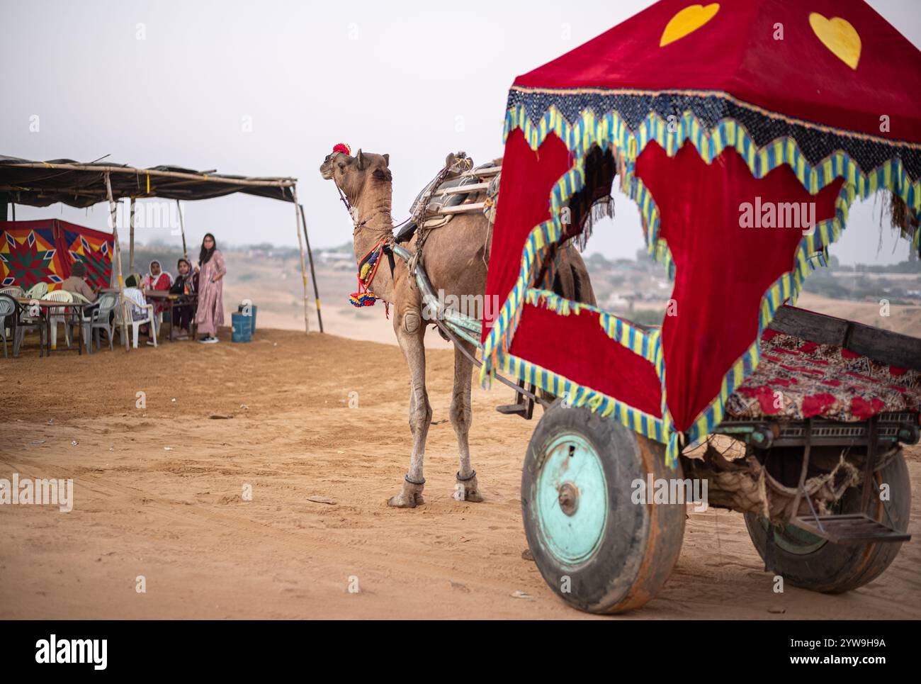 Pushkar Camel Fair Foto Stock