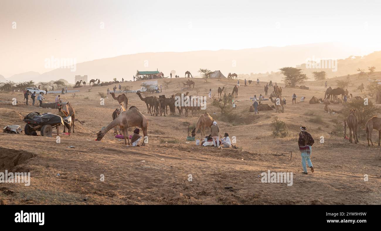 Pushkar Camel Fair Foto Stock