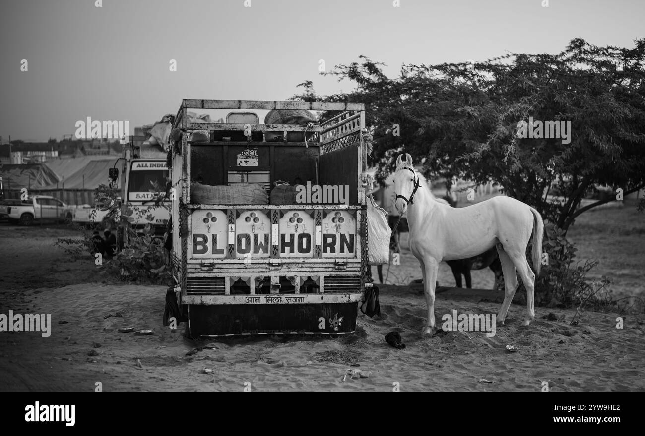 Pushkar Camel Fair Foto Stock