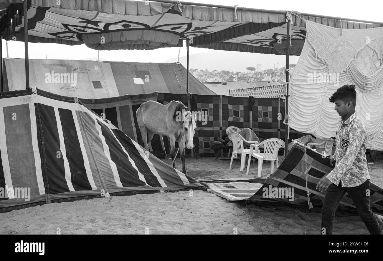 Pushkar Camel Fair Foto Stock