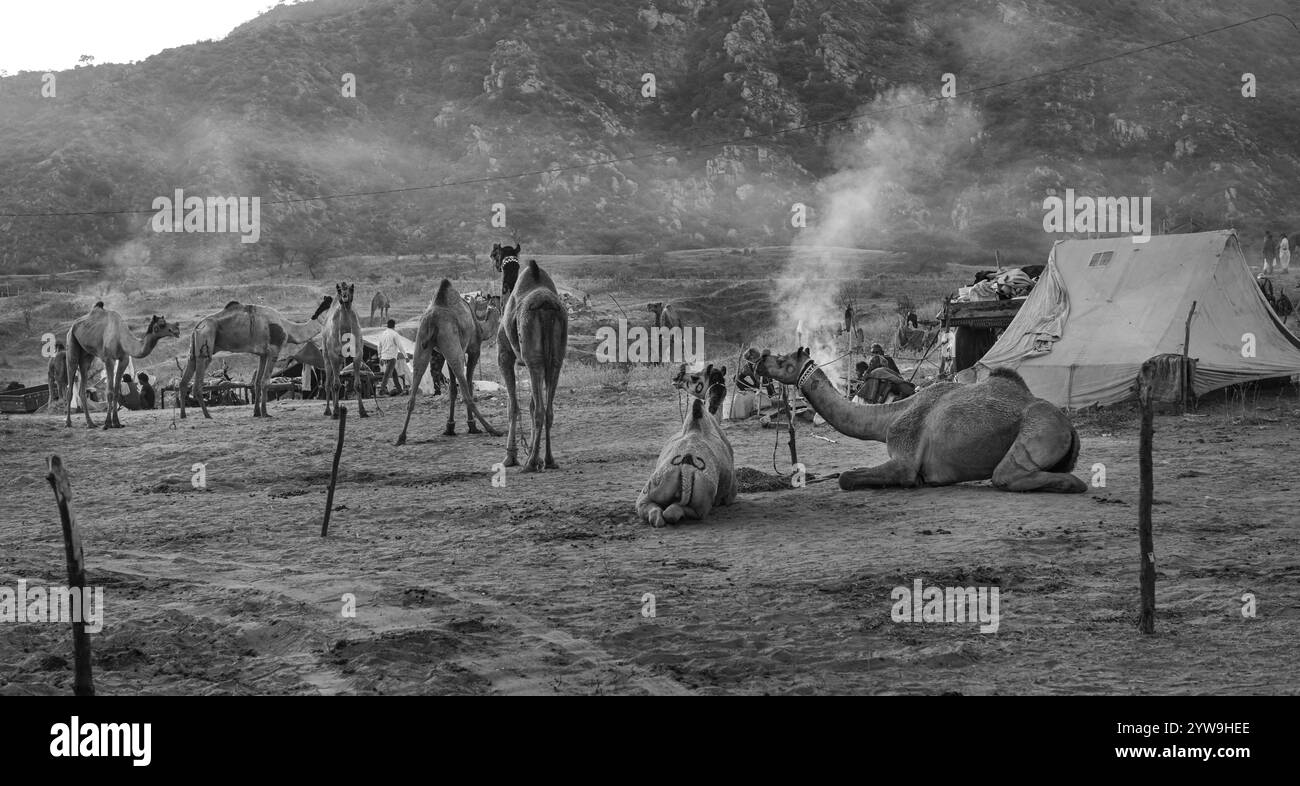 Pushkar Camel Fair Foto Stock