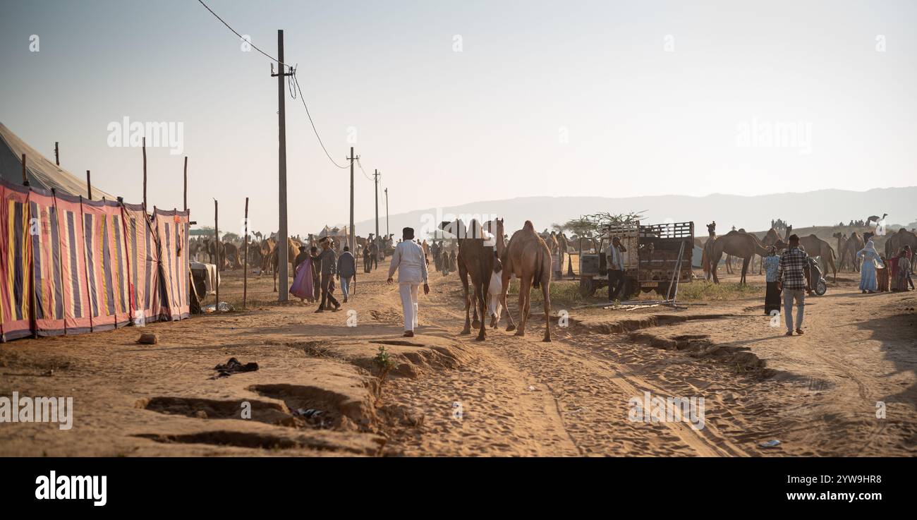 Pushkar Camel Fair Foto Stock