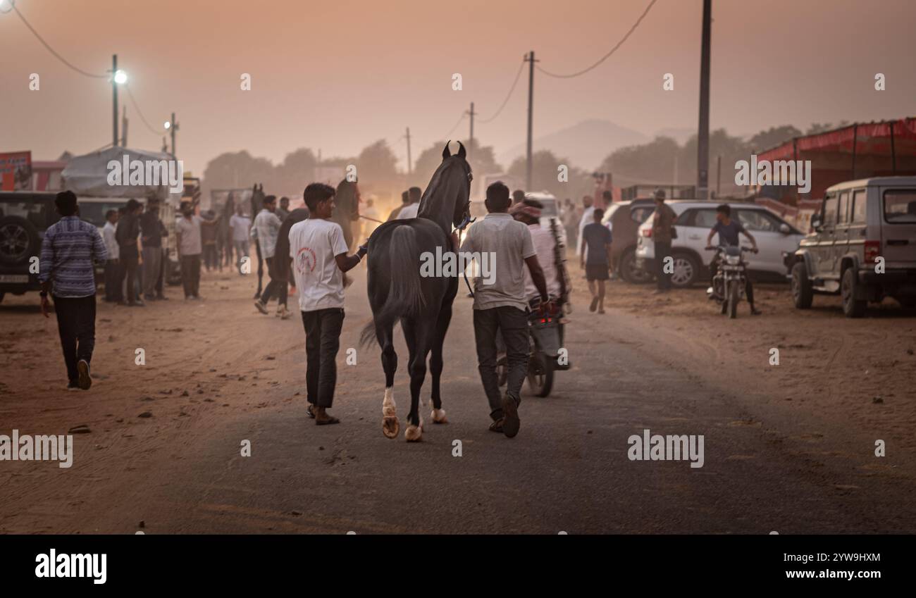 Pushkar Camel Fair Foto Stock