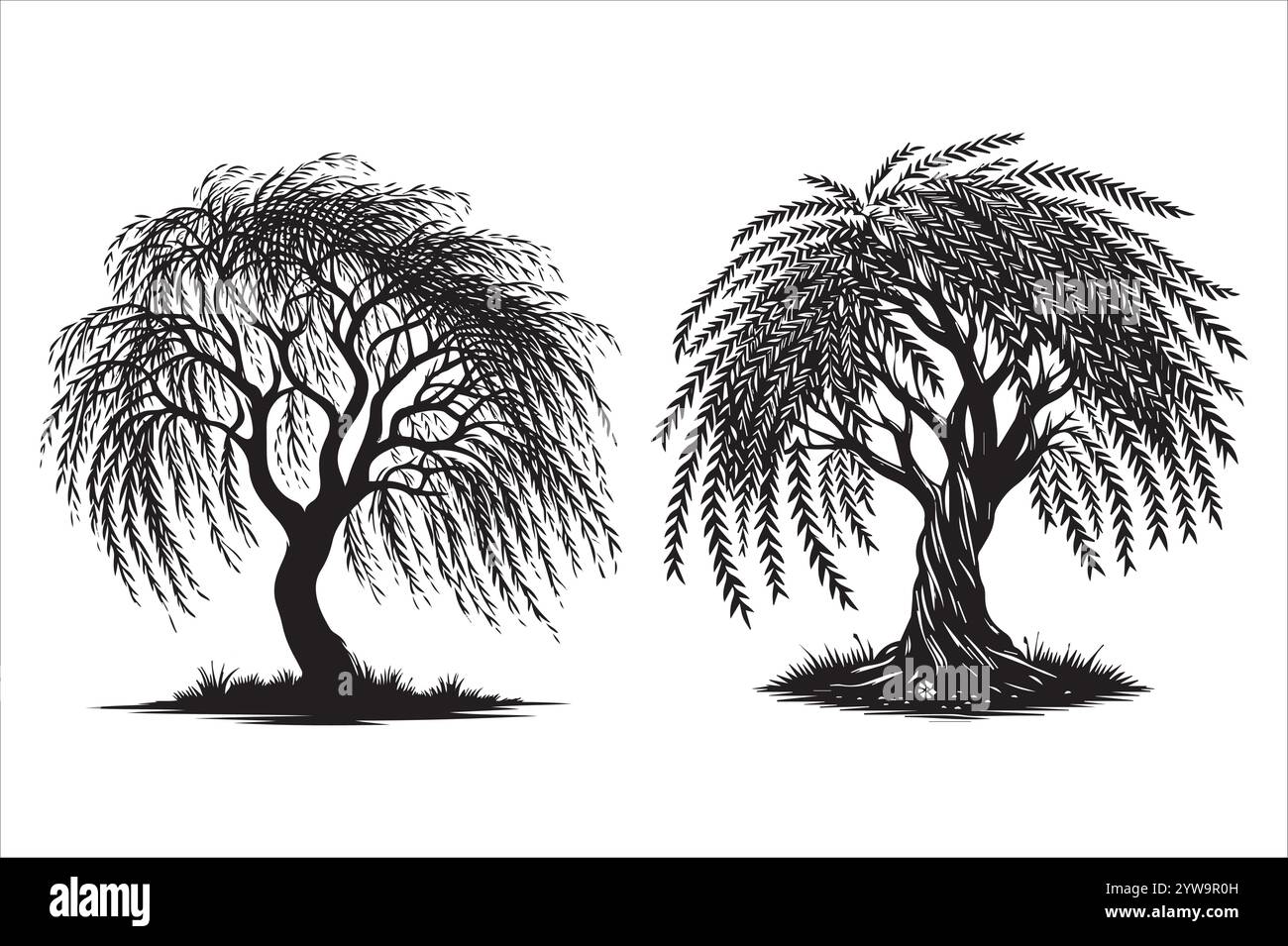 Silhouette Tree Nature Wonders Illustrazione Vettoriale