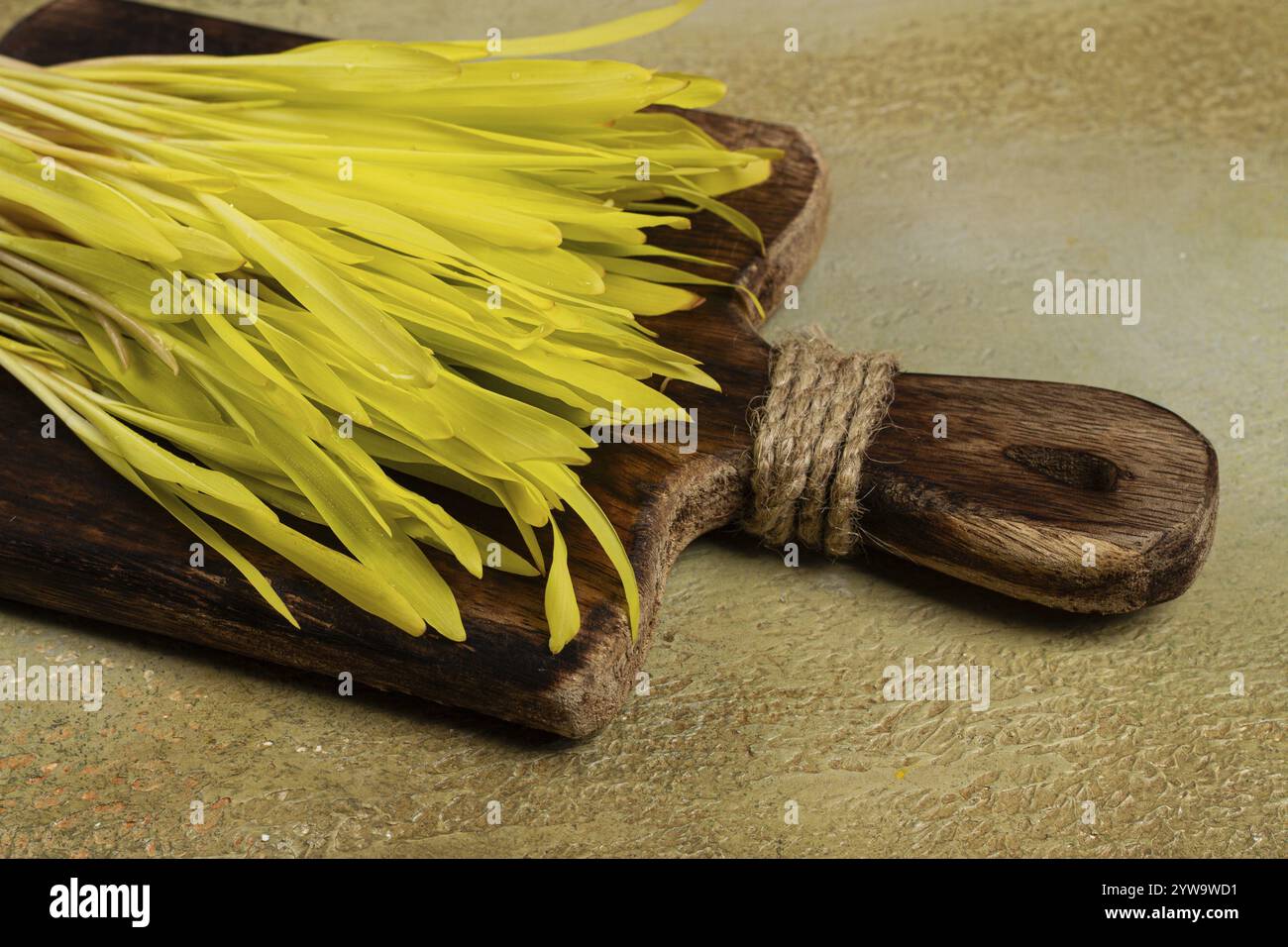 Un mais coltivato al microscopio, un bouquet su un tagliere di legno, niente persone Foto Stock