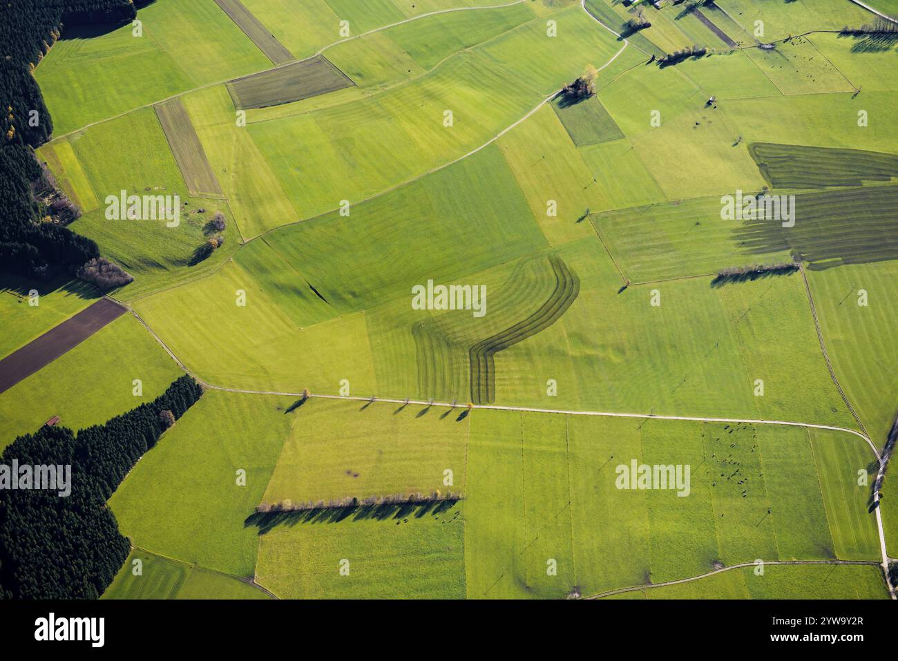 Vista aerea, vista dall'alto, campi, alta Baviera, Baviera, Germania, Europa Foto Stock