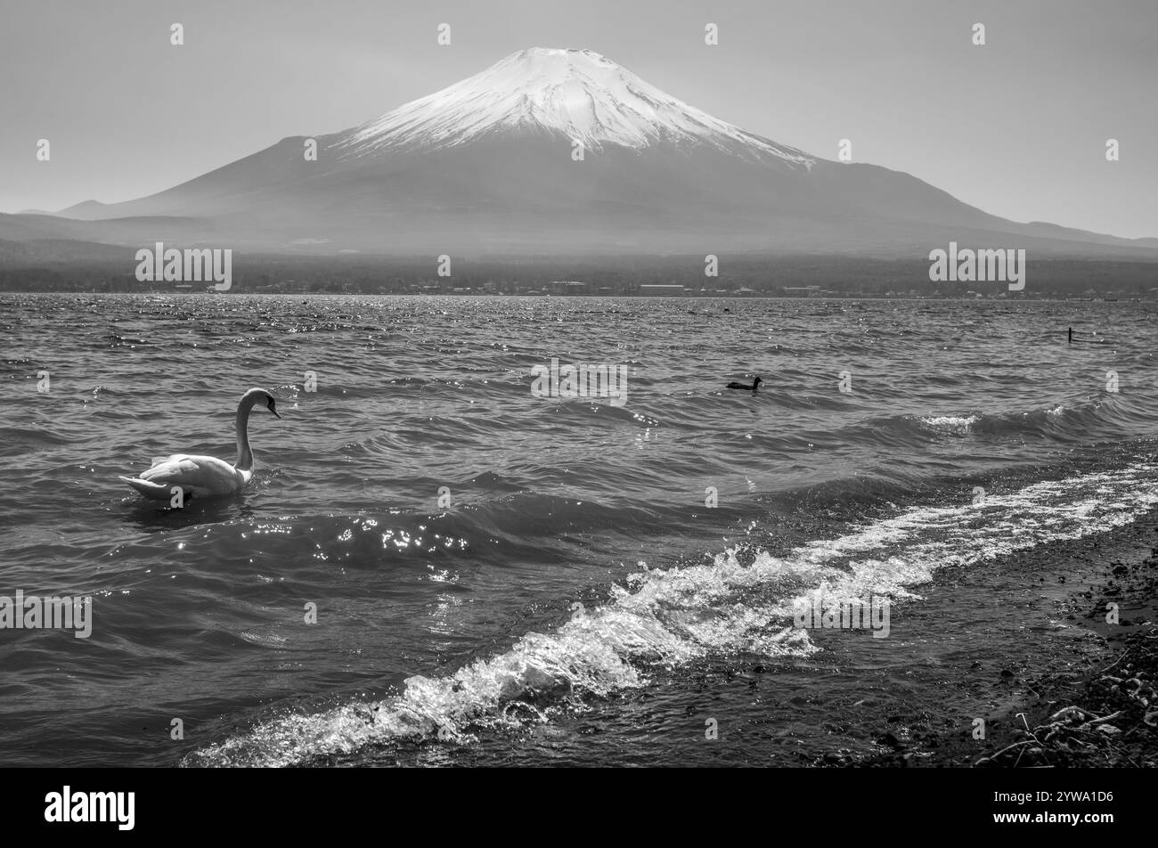 Vista iconica del lago Kawaguchiko e del Monte Fuji nella prefettura di Yamanashi in Giappone Foto Stock