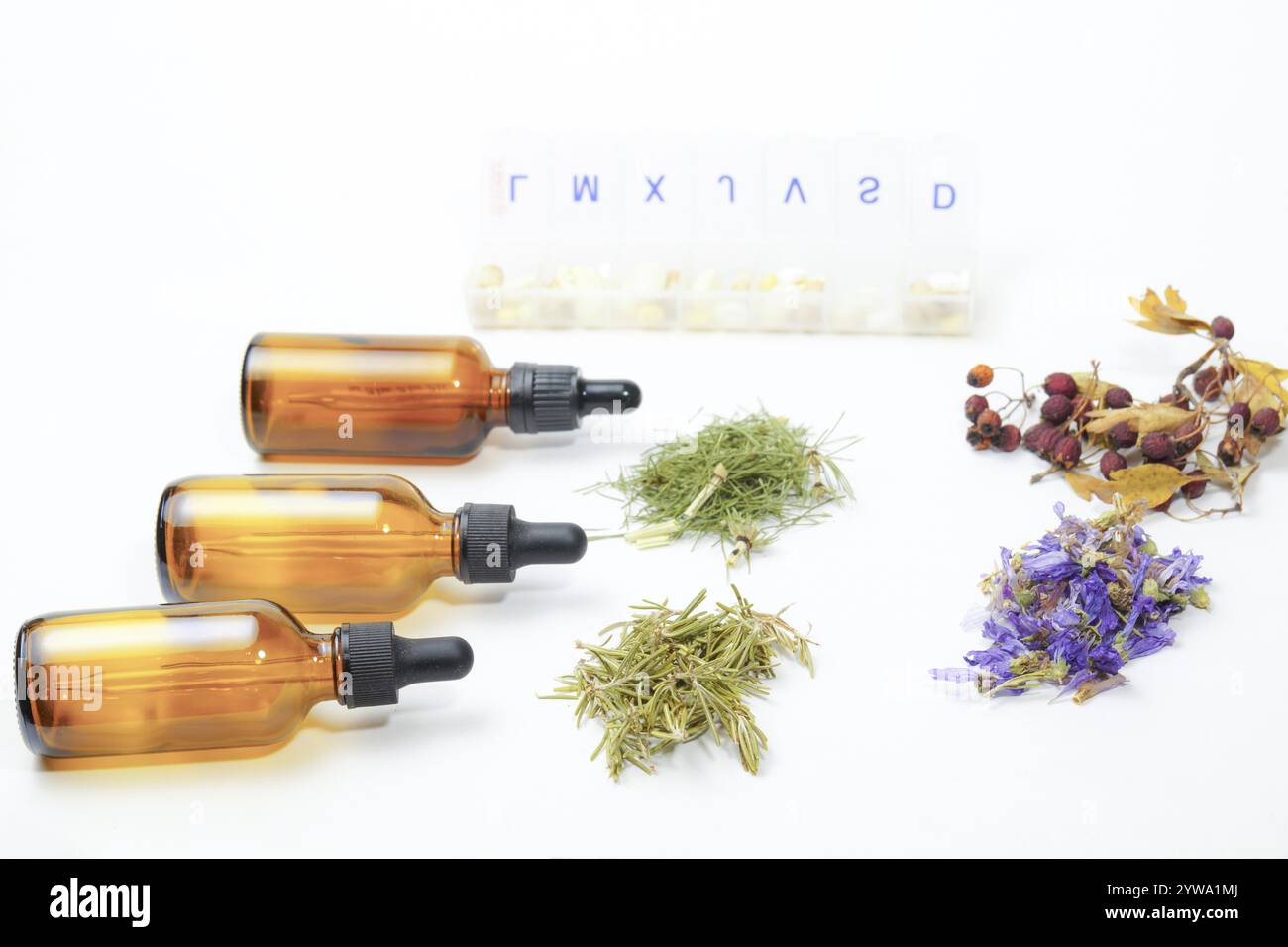Gruppo di varie piante medicinali accanto a una scatola di pillole isolate su sfondo bianco e spazio di copia, concetto di naturopatia. Foto Stock