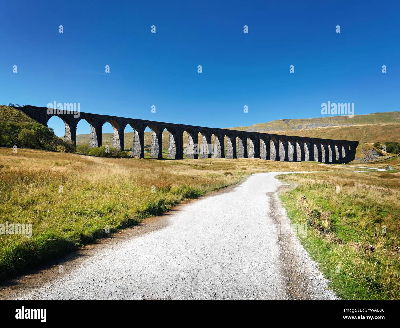 Regno Unito, North Yorkshire, Yorkshire Dales, Ribblehead Viaduct. Foto Stock