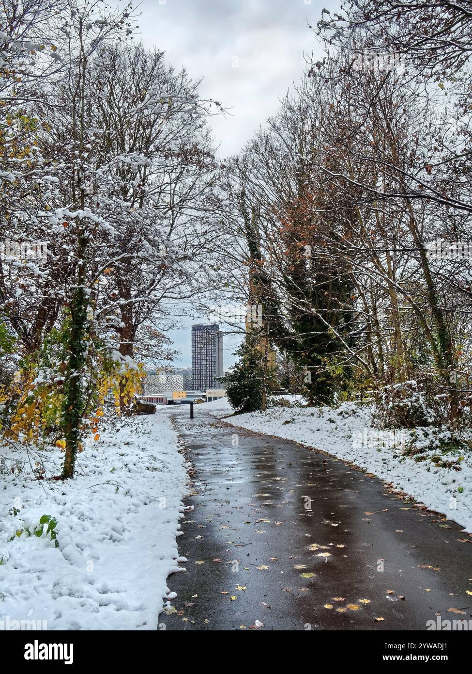 Regno Unito, South Yorkshire, Sheffield City Centre, passerella pedonale attraverso Clay Wood fino al Monumento del colera e al City Centre View. Foto Stock