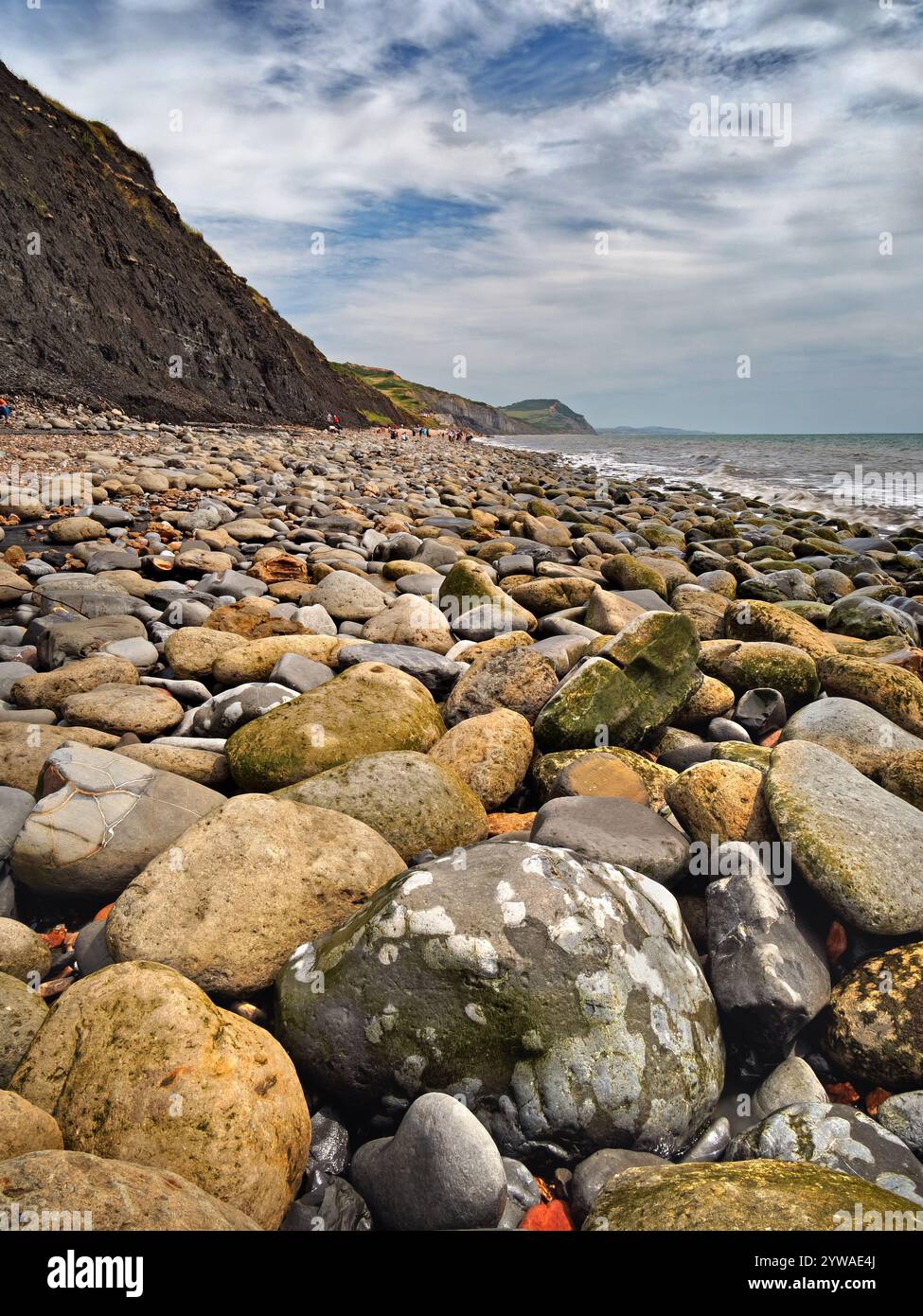 Regno Unito, Dorset, Charmouth a Lyme Regis Beach guardando verso Golden Cap. Foto Stock