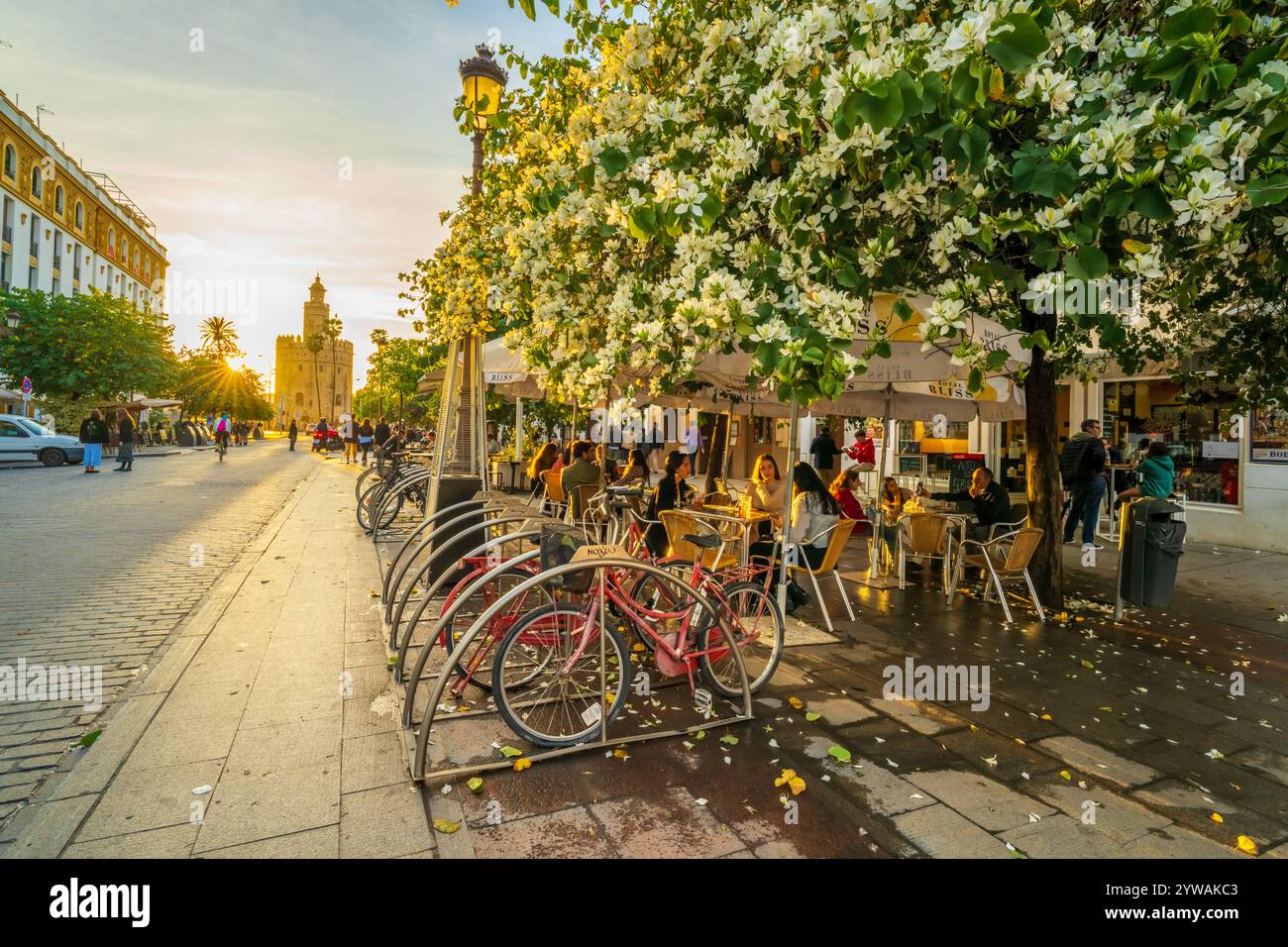 Panorama panoramico di Siviglia del quartiere storico della città vecchia con caffè all'aperto, Torre del Oro. Uno stile di vita di viaggio primaverile a Siviglia, Spagna. Foto Stock