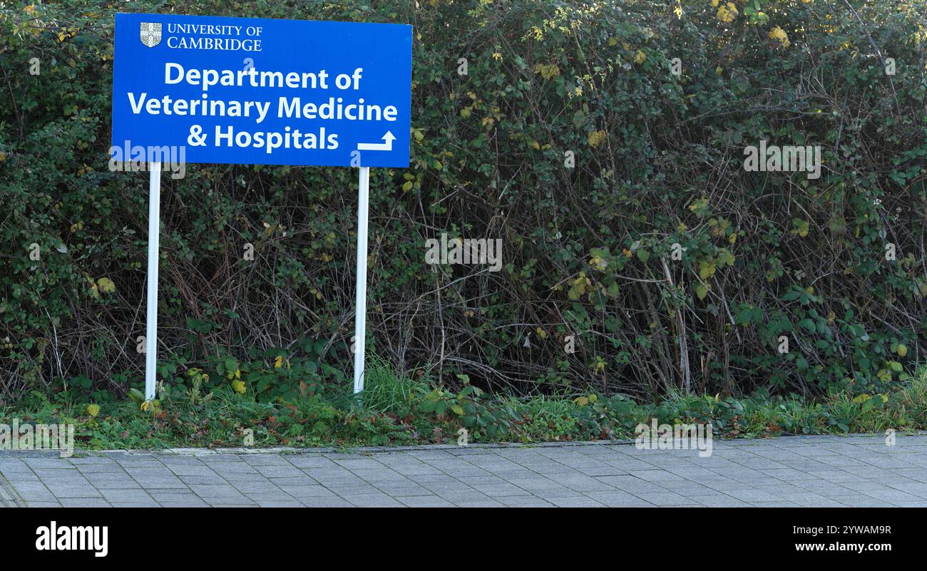 Firma per il Dipartimento di Medicina veterinaria & ospedali, Università di Cambridge, sito West Cambridge, Inghilterra. Foto Stock