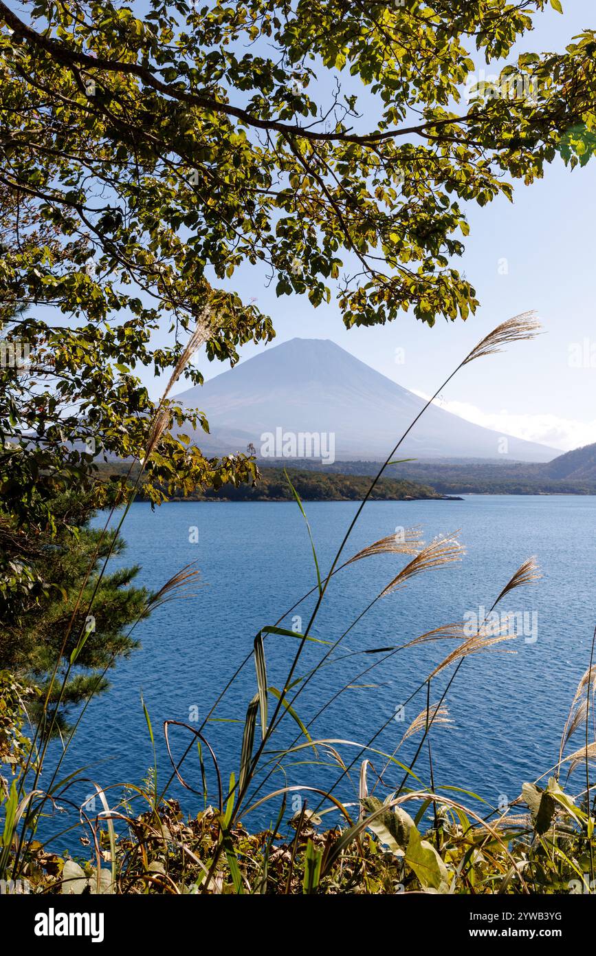 Uno dei cinque laghi vicino al Monte Fuji in Giappone. La vegetazione lussureggiante e una montagna torreggiante offrono una fuga perfetta nella natura Foto Stock