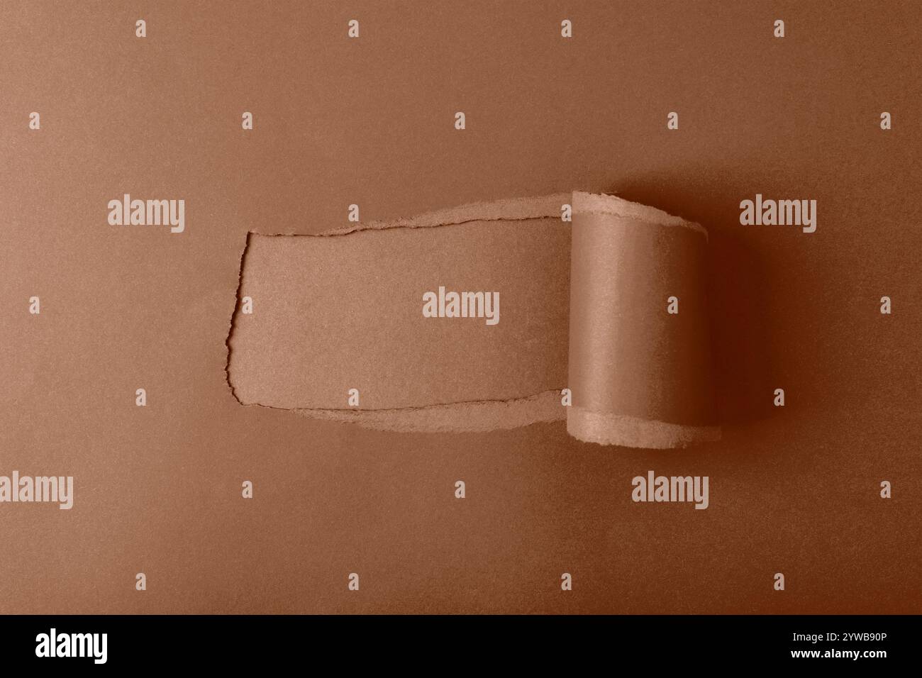 Un pezzo di carta strappata marrone con un bordo arrotolato su uno sfondo marrone pieno, una posa piatta e uno spazio di copia. Foto Stock