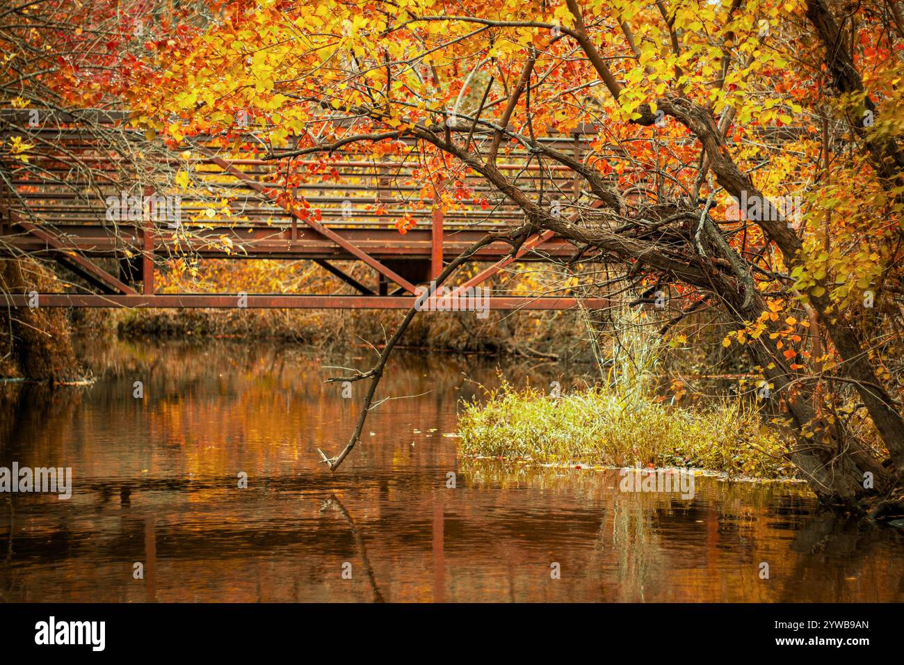 Un ponte rustico circondato da vibranti fogliame autunnale nelle sfumature di giallo, arancione e rosso. L'acqua ferma sottostante riflette gli alberi colorati e il ponte. Foto Stock