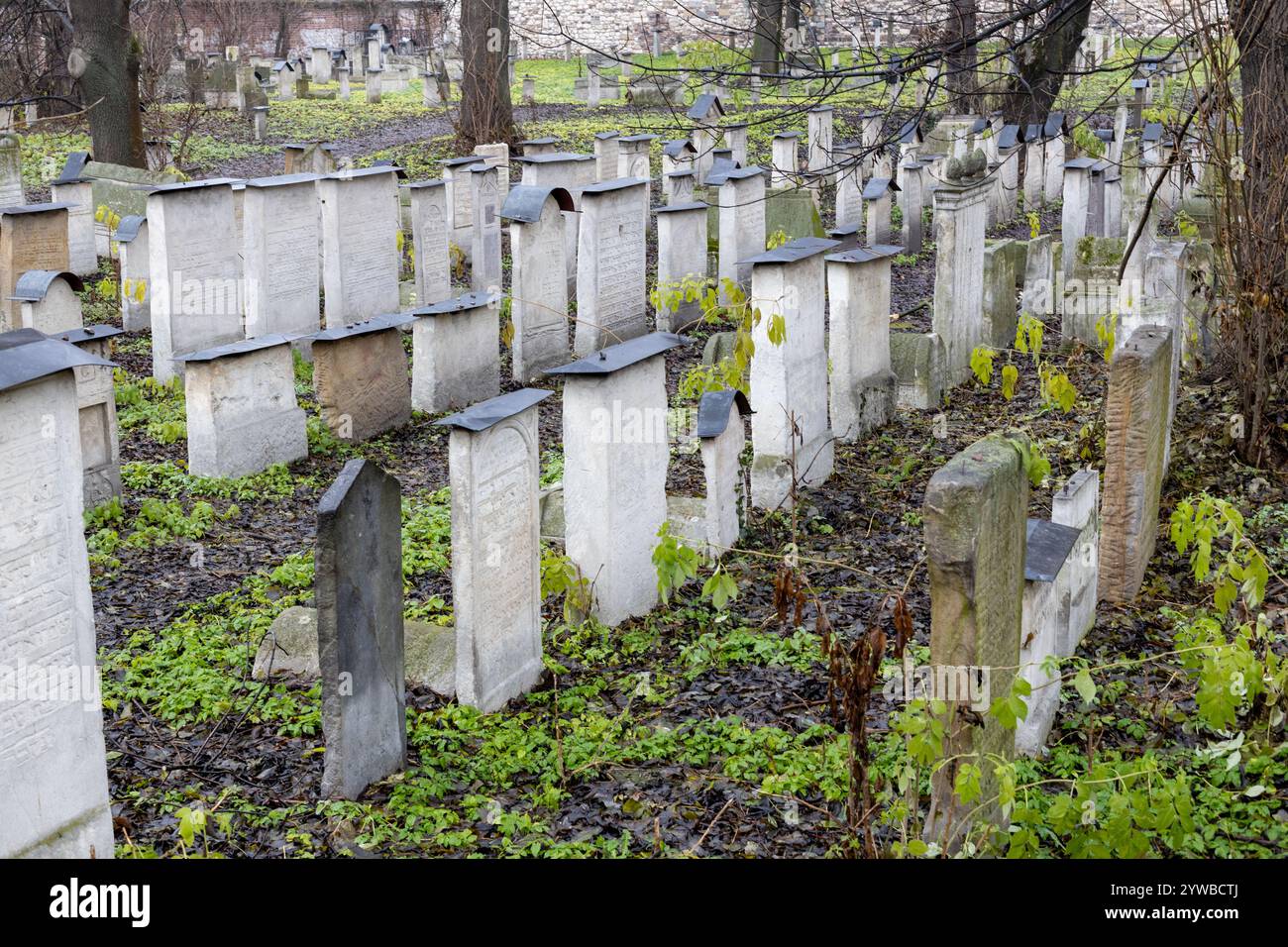 Cracovia, Polonia. 8 dicembre 2024: Vecchio cimitero ebraico presso la sinagoga Remuh a Cracovia Foto Stock