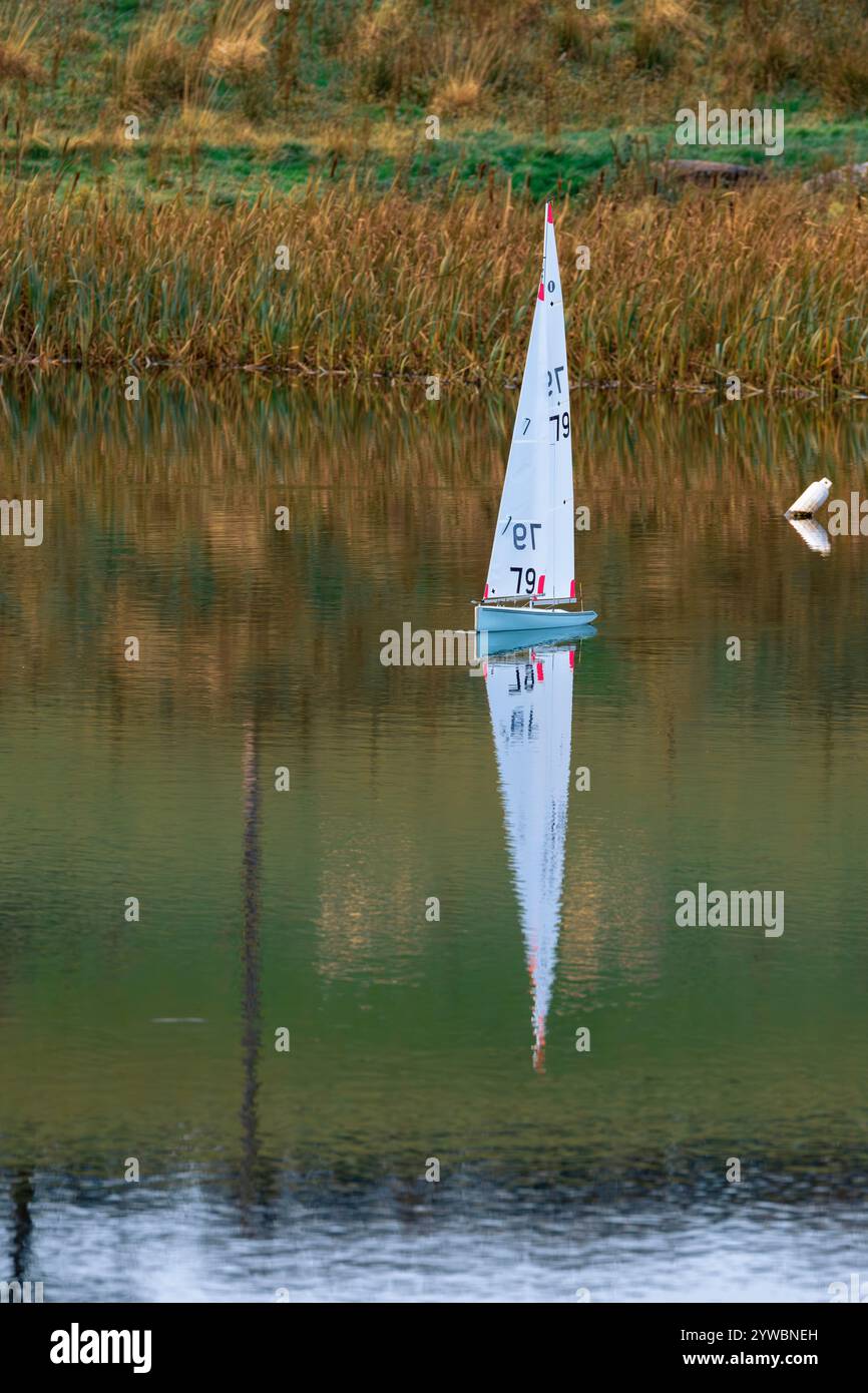 modelli di yacht a vela radiocomandati Foto Stock