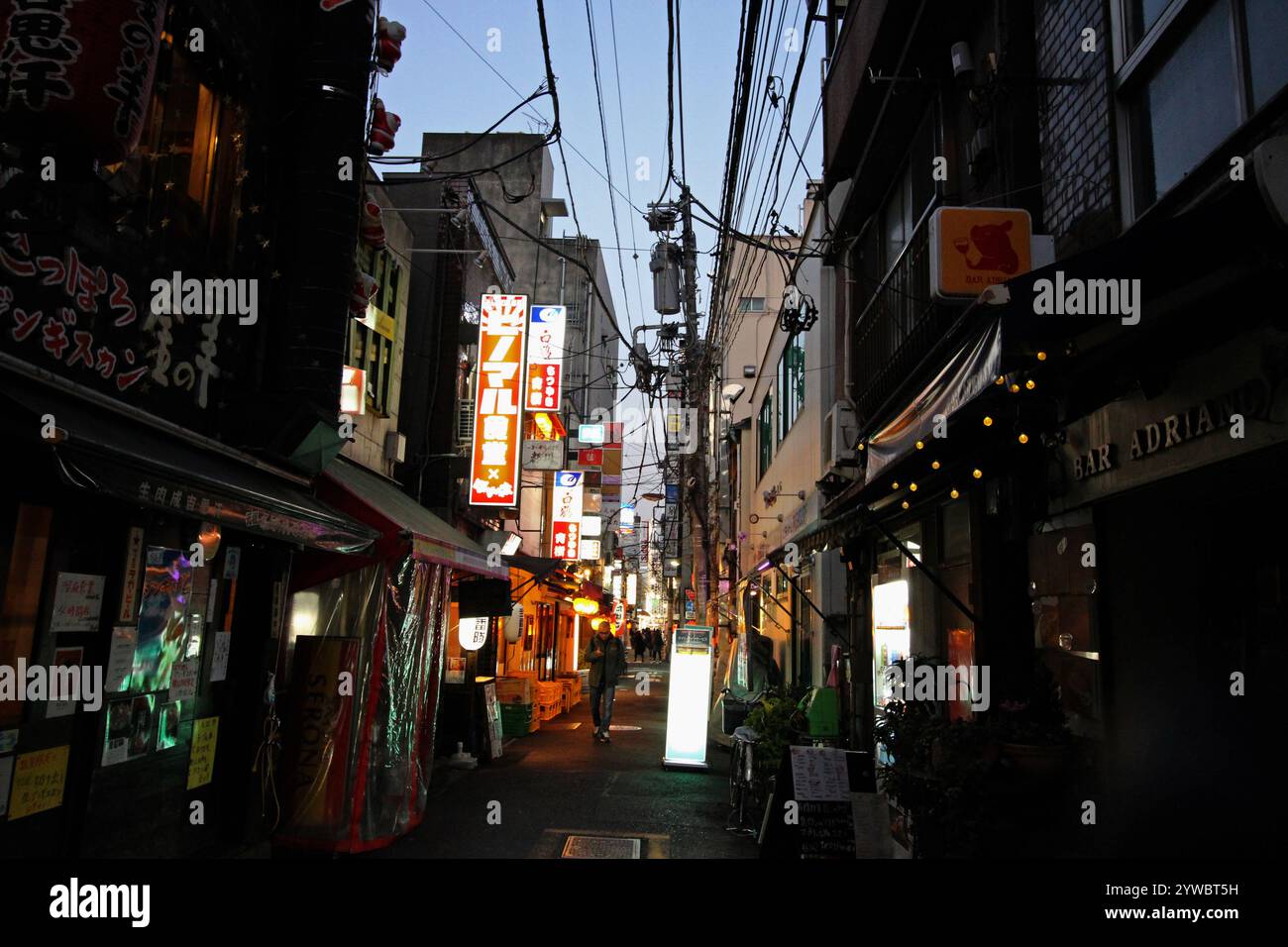Scena notturna di Tokyo zona di Shinbashi Foto Stock