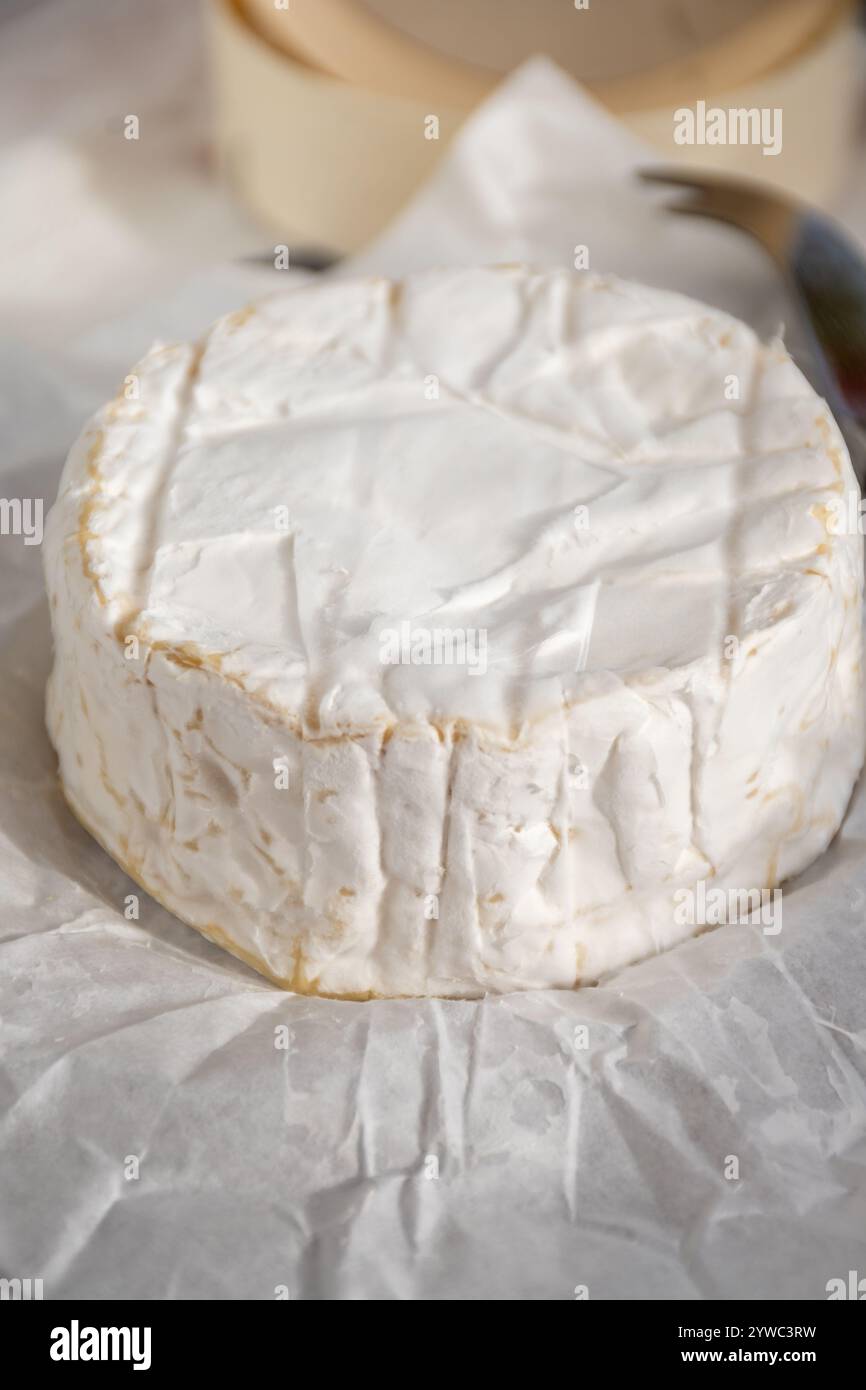 Formaggio francese morbido Camembert, Camembert de Normandie originale, prodotto con latte vaccino crudo non pastorizzato Foto Stock