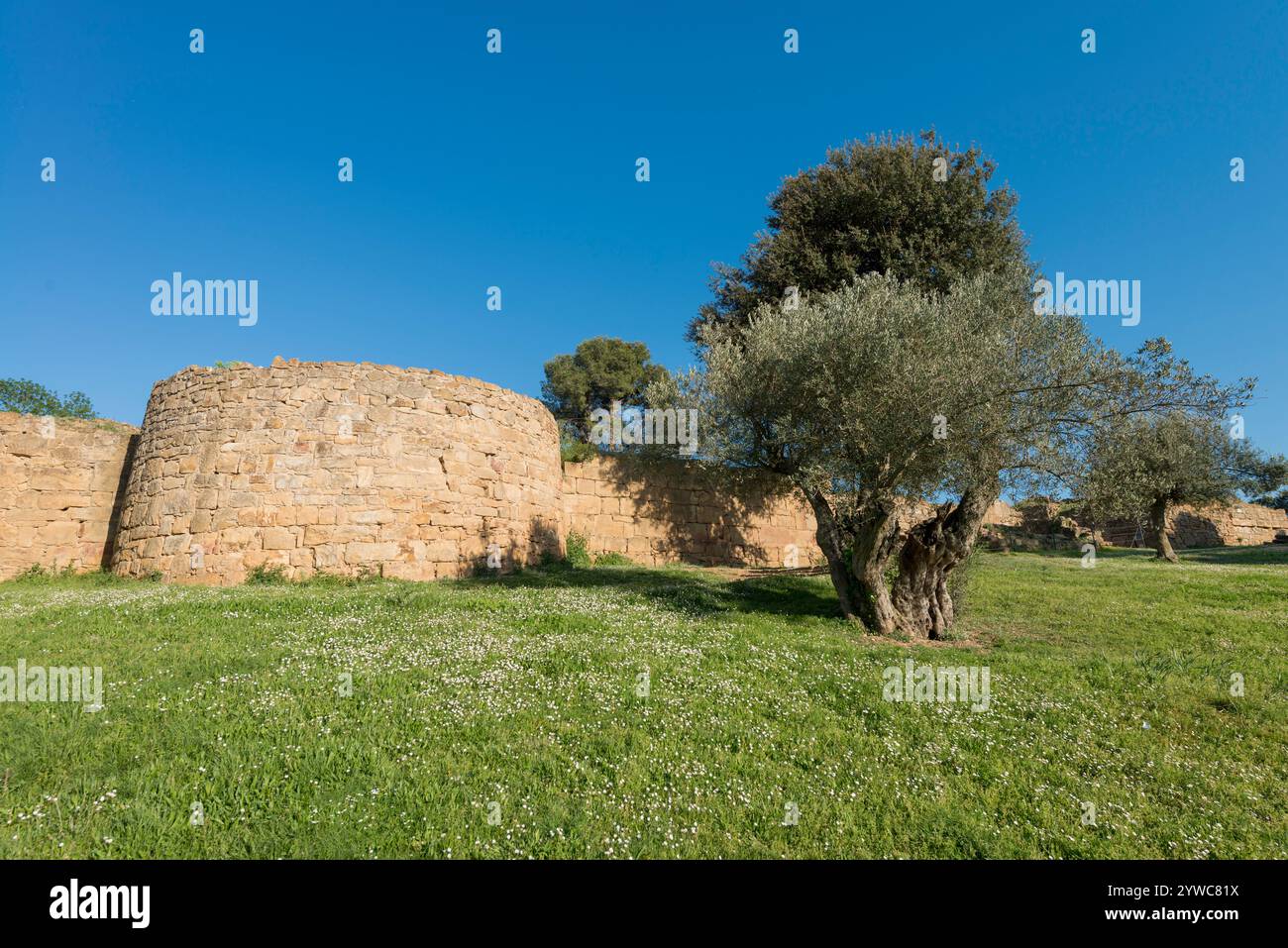 Resti di una posizione strategica degli Indigeti del periodo pre-romano, Ullastret, Spagna Foto Stock