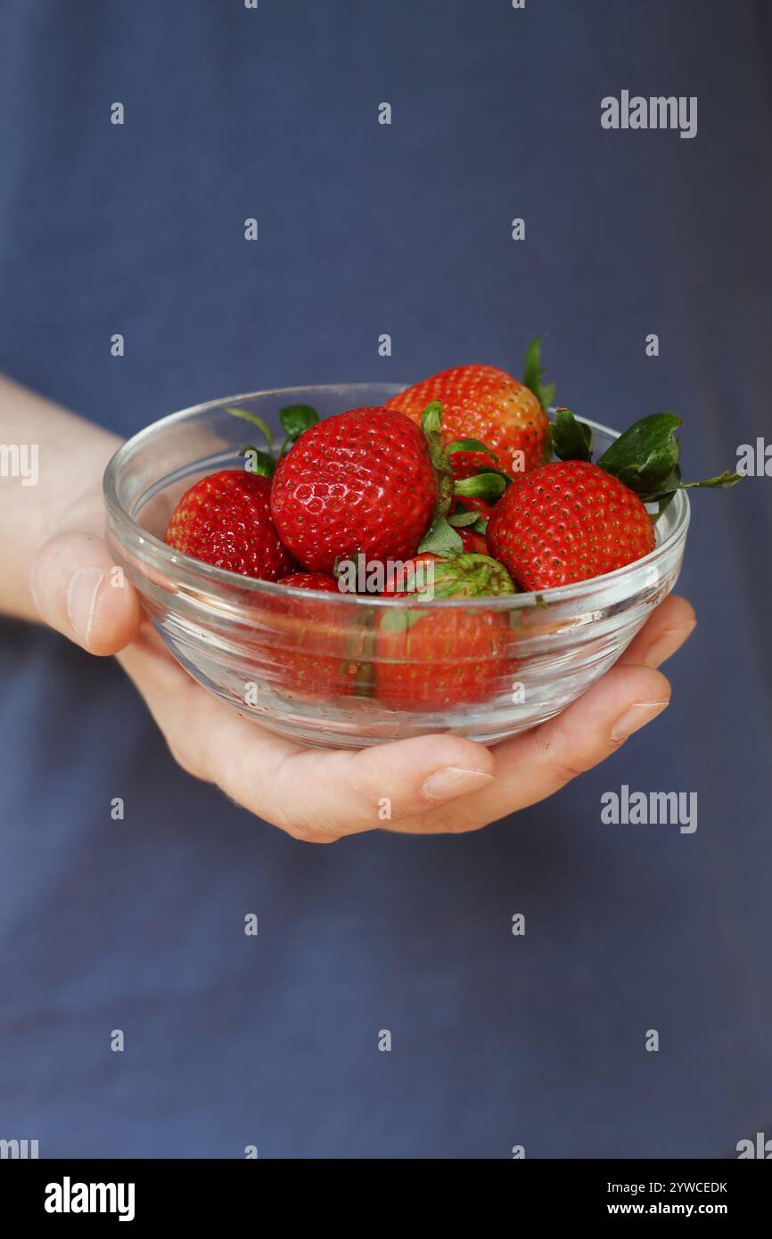 Primo piano di un maschio caucasico che tiene una ciotola di fragole Foto Stock