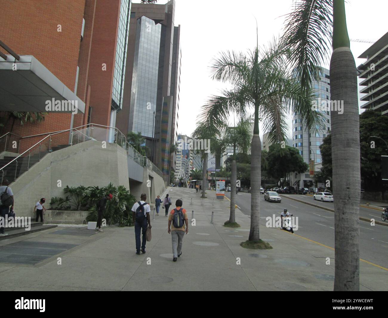 Las Mercedes, Baruta, Stato Miranda. Editoriale, editoriale illustrativo. Venezuela, Caracas 5 dicembre 2024. Foto Stock