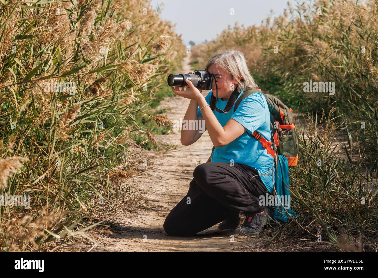 Donna che fotografa insetti nel Parco naturale El Hondo, Spagna Foto Stock