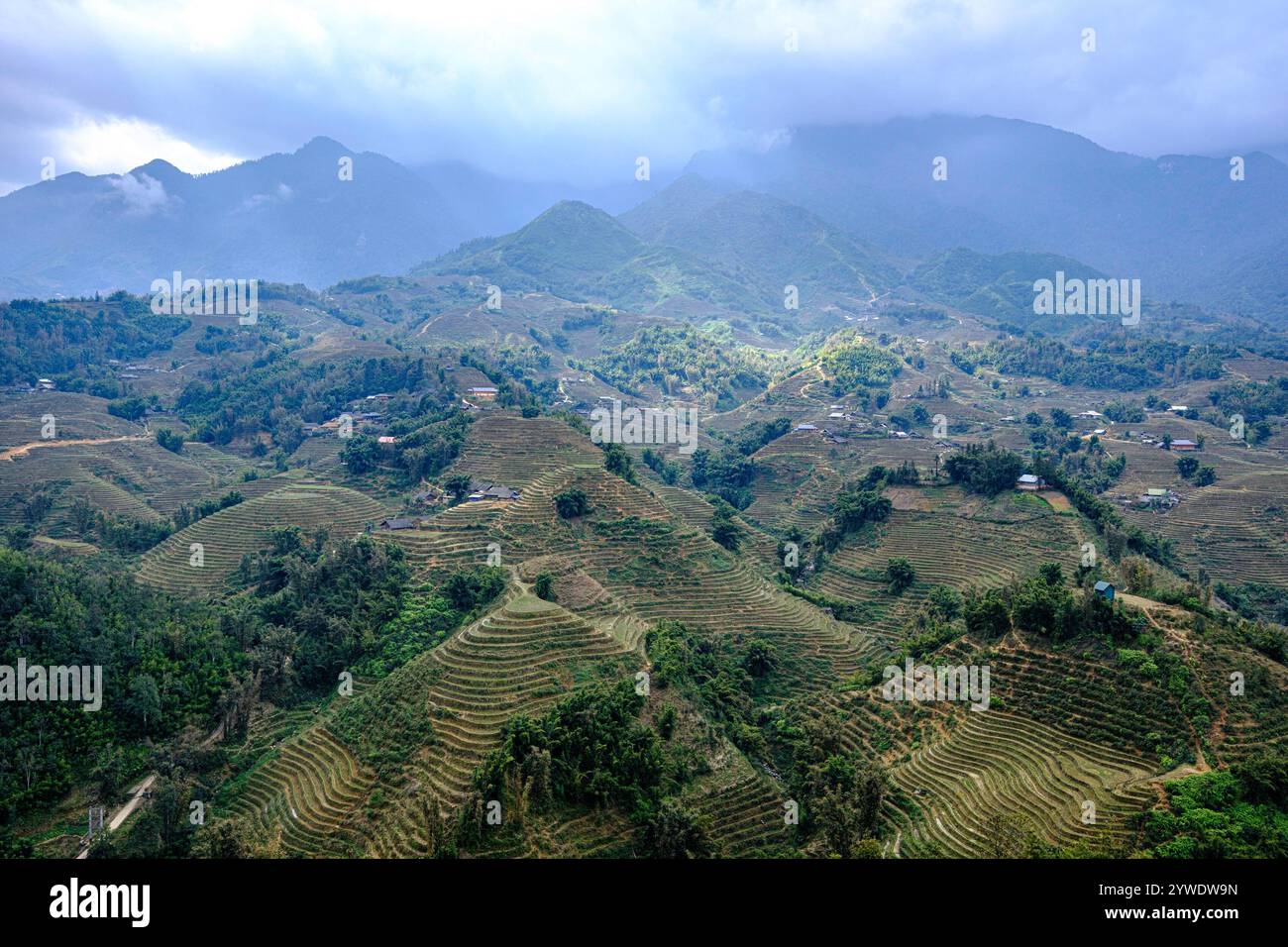 Vietnam, 2024-02-12, Sapa, montagna, Vietnam del Nord, campi di riso, coltivazione di terrazze, etnico, hmong, sole, nuvole, paesaggio, cielo Foto Stock