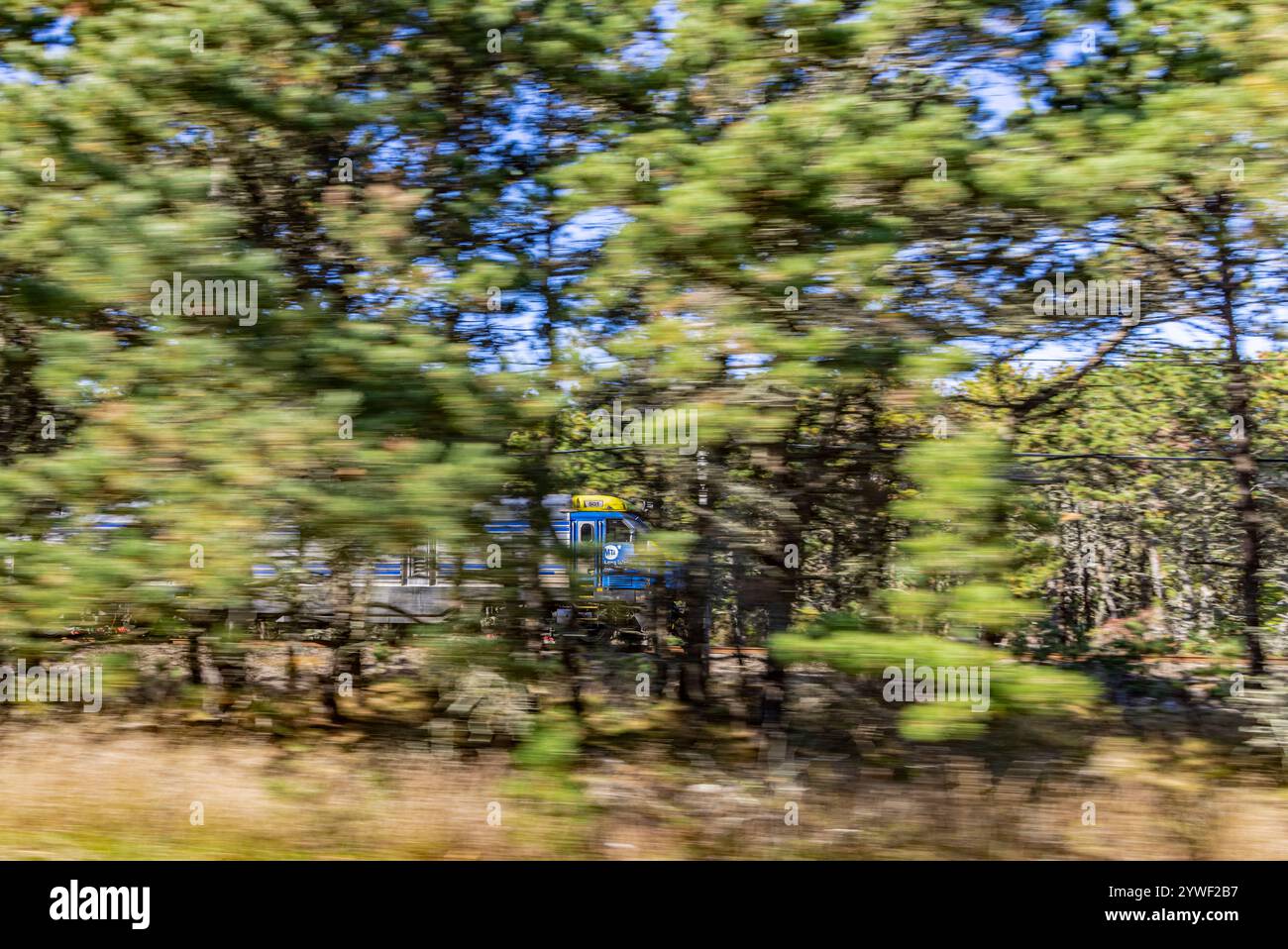 immagine leggermente sfocata di un treno lirr che si muove su un tratto di napaeague nel tragitto per montauk Foto Stock