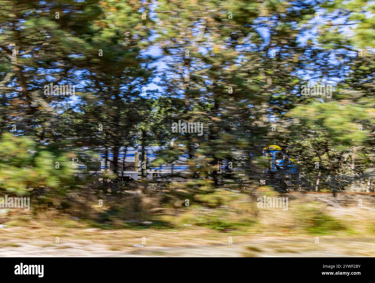immagine leggermente sfocata di un treno lirr che si muove su un tratto di napaeague nel tragitto per montauk Foto Stock