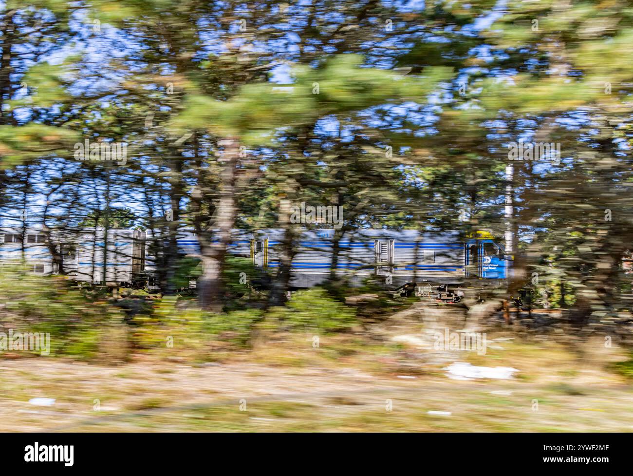 immagine leggermente sfocata di un treno lirr che si muove su un tratto di napaeague nel tragitto per montauk Foto Stock