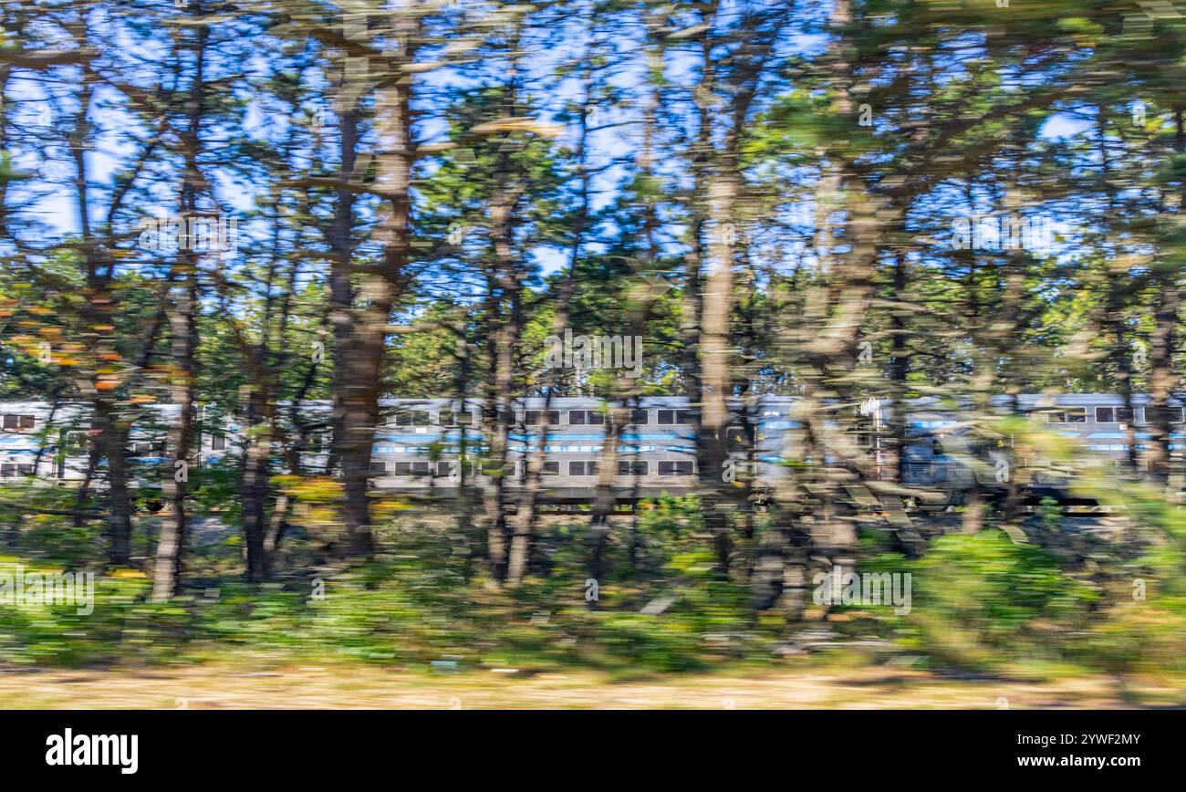 immagine leggermente sfocata di un treno lirr che si muove su un tratto di napaeague nel tragitto per montauk Foto Stock