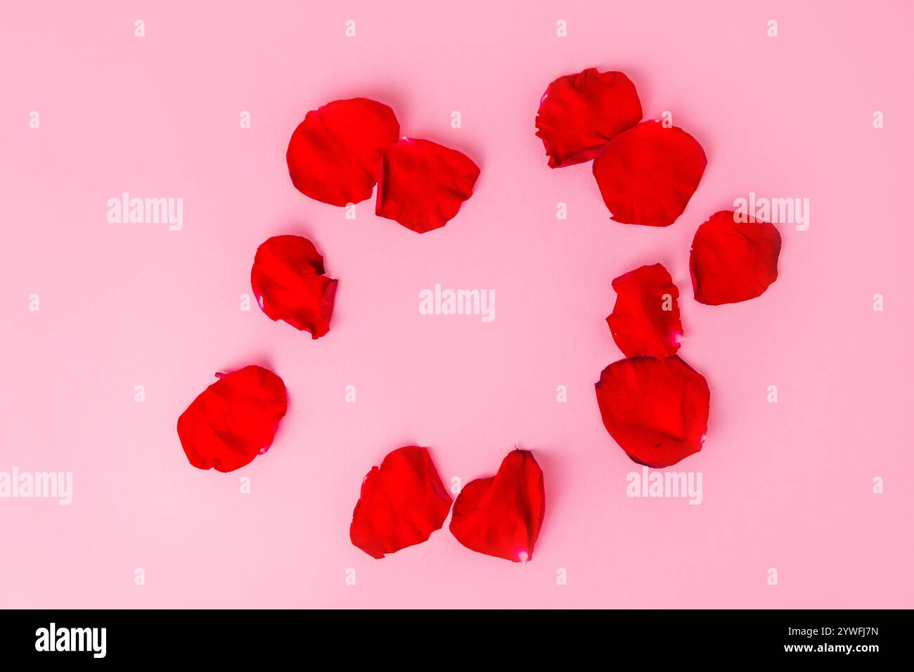 Cornice con petali di rosa su sfondo rosa pastello, copia spazio Foto Stock
