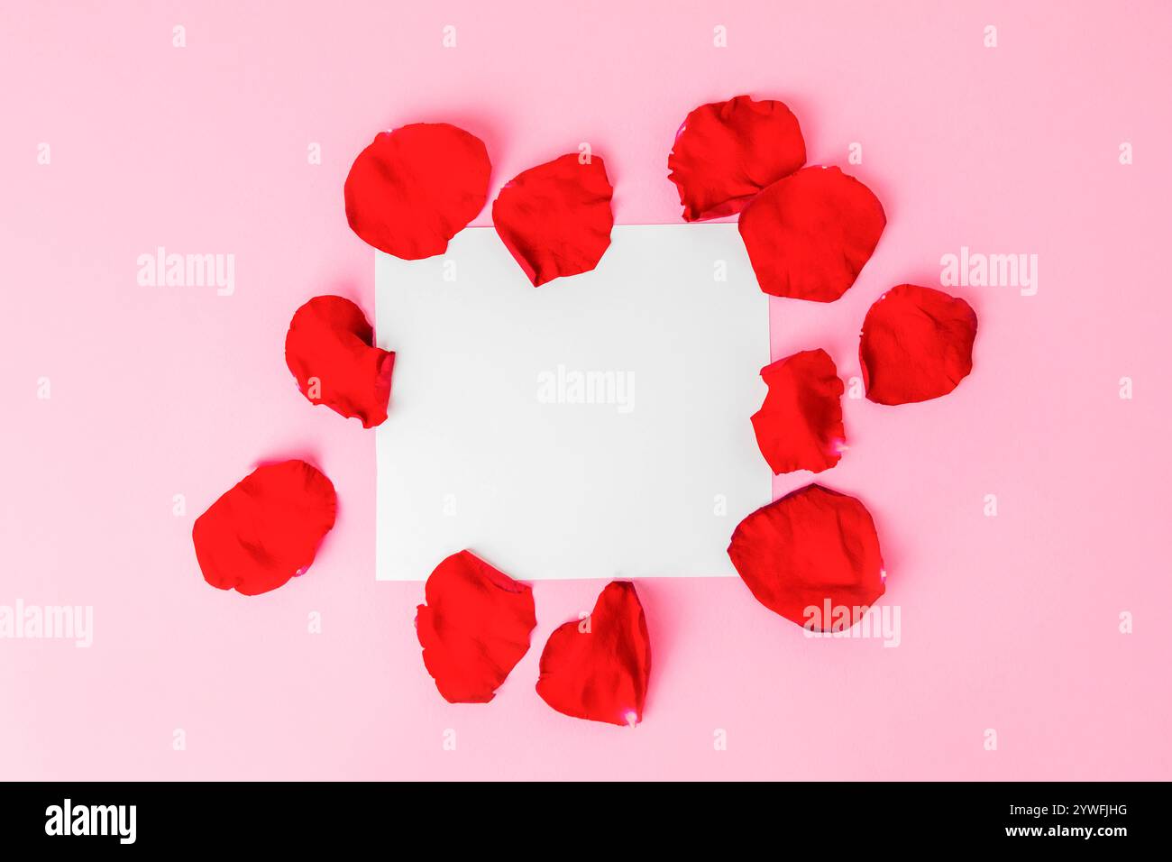 Carta bianca vuota con cornice di petali di rosa su sfondo rosa pastello, spazio per copie Foto Stock