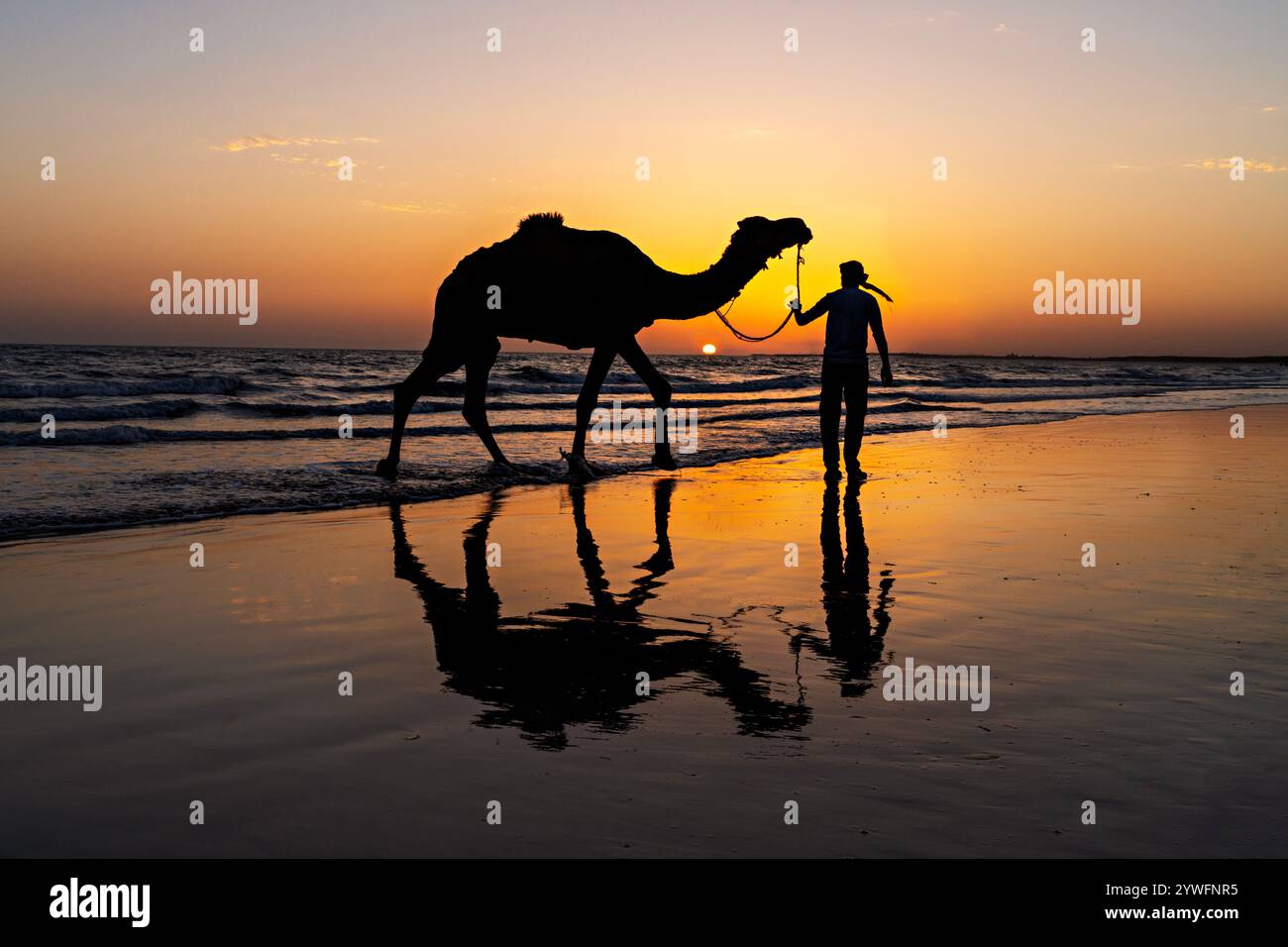 Tramonto sulla spiaggia di Mandvi con un uomo e un cammello in silhouette a Mandvi, Gujarat, India Foto Stock