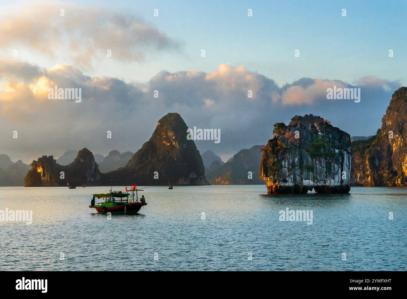 Ammira le formazioni rocciose carsiche nella baia di ha Long, Vietnam Foto Stock