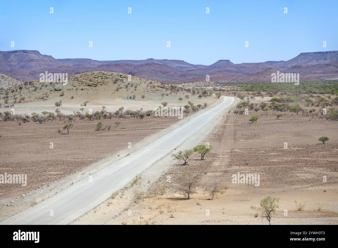 La pista di ghiaia conduce attraverso un paesaggio arido e arido con colline, Damaraland, Kunene, Namibia, Africa Foto Stock