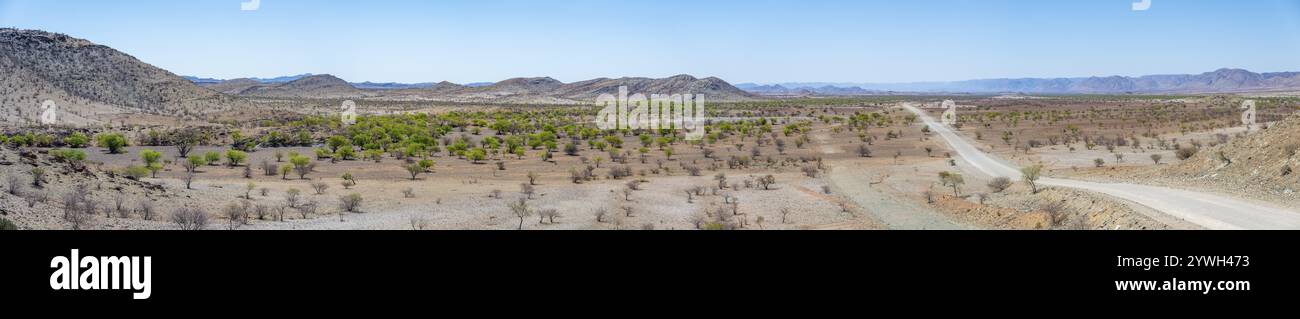 Il panorama, la pista di ghiaia conduce attraverso un paesaggio arido e arido con colline, Damaraland, Kunene, Namibia, Africa Foto Stock