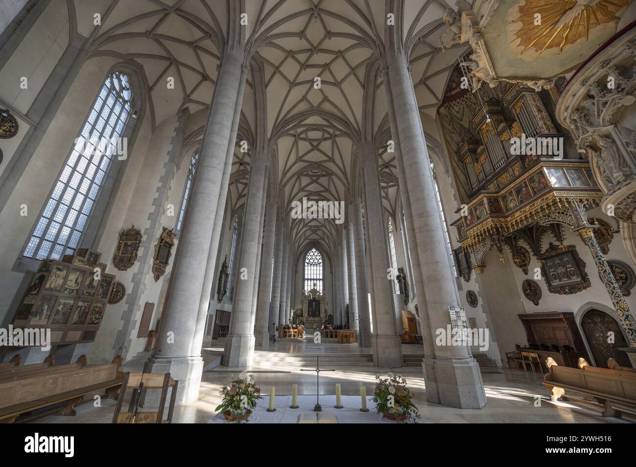 Interno con volta e organo laterale in un prospetto rinascimentale nella chiesa tardo gotica di San Giorgio, costruita tra il 1427 e il 1505, chiesa di Noerdlinge Foto Stock