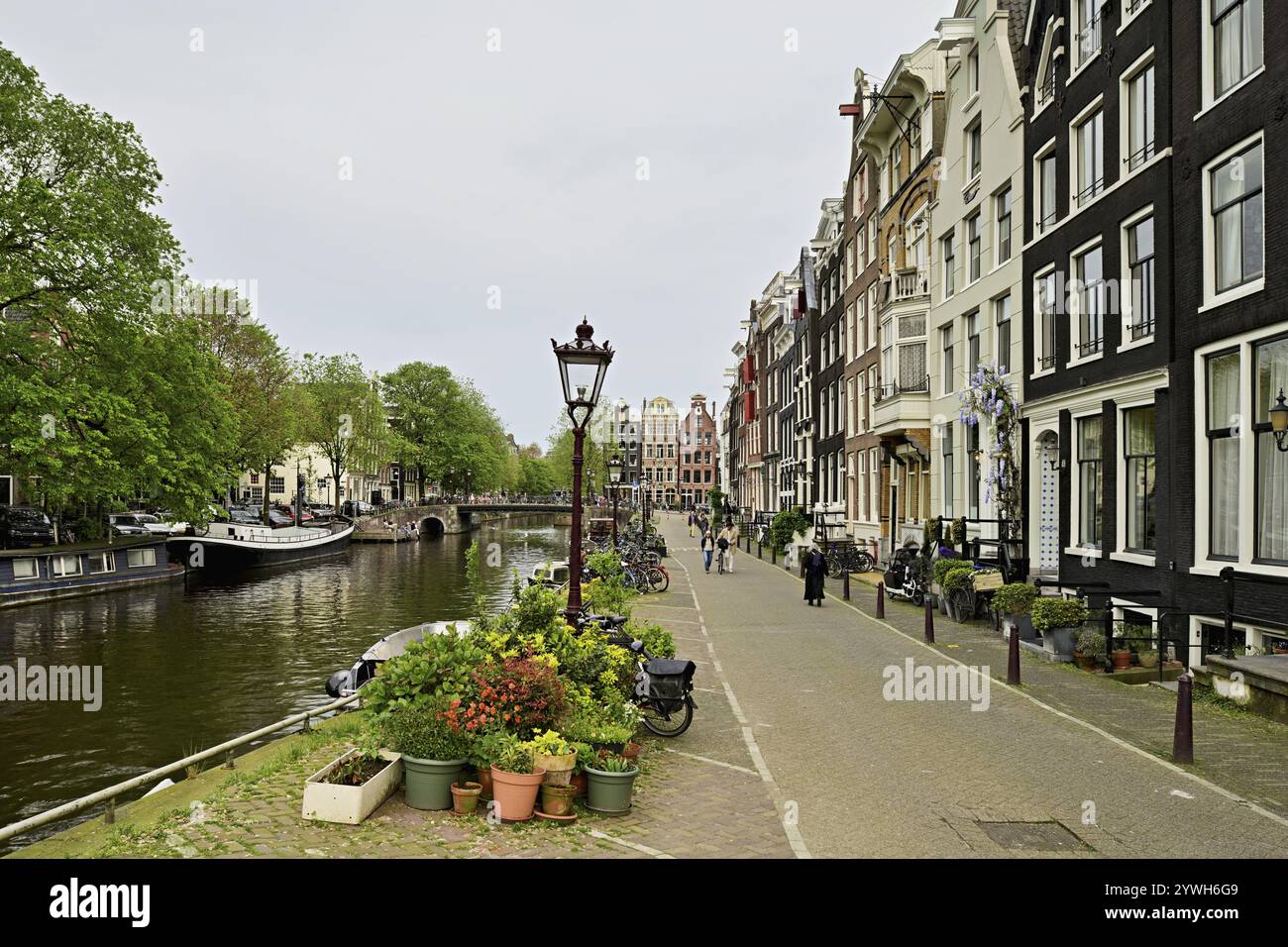 Case storiche sul Brouwersgracht, Amsterdam, Provincia dell'Olanda settentrionale, Paesi Bassi Foto Stock