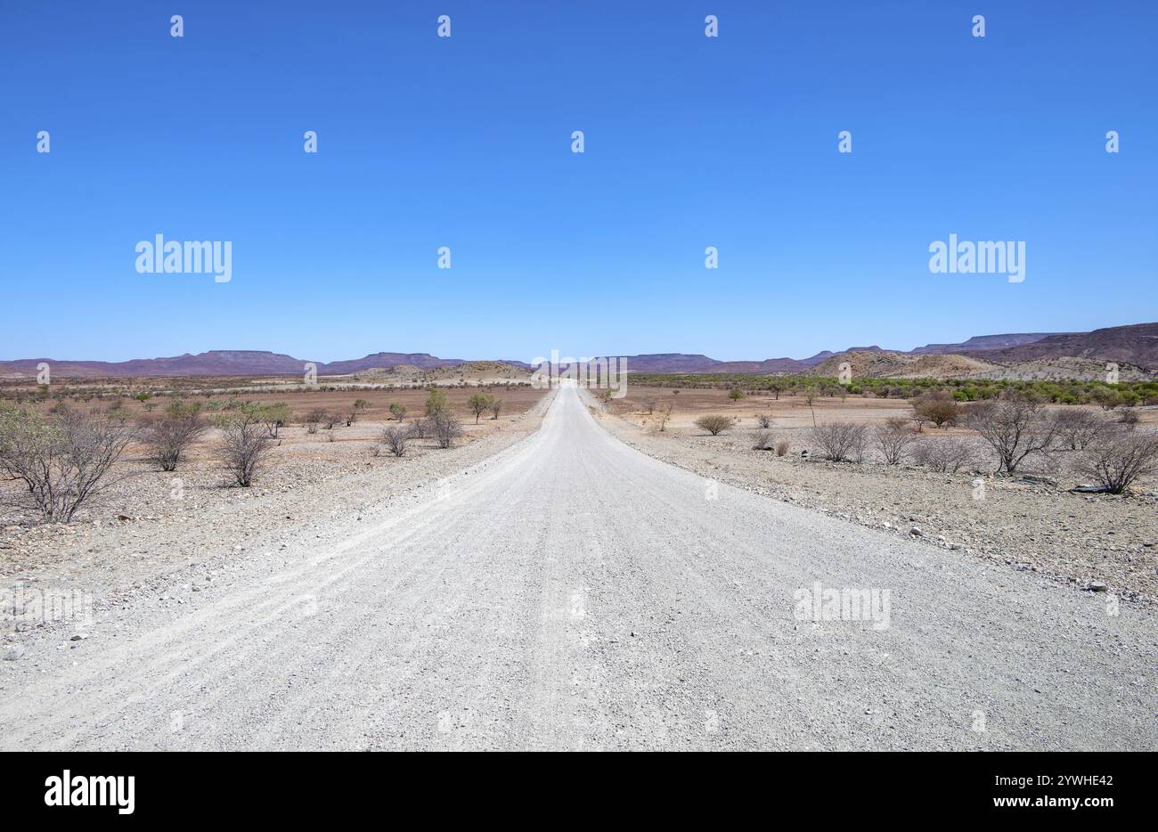 La pista di ghiaia conduce attraverso un paesaggio arido e arido con colline, Damaraland, Kunene, Namibia, Africa Foto Stock