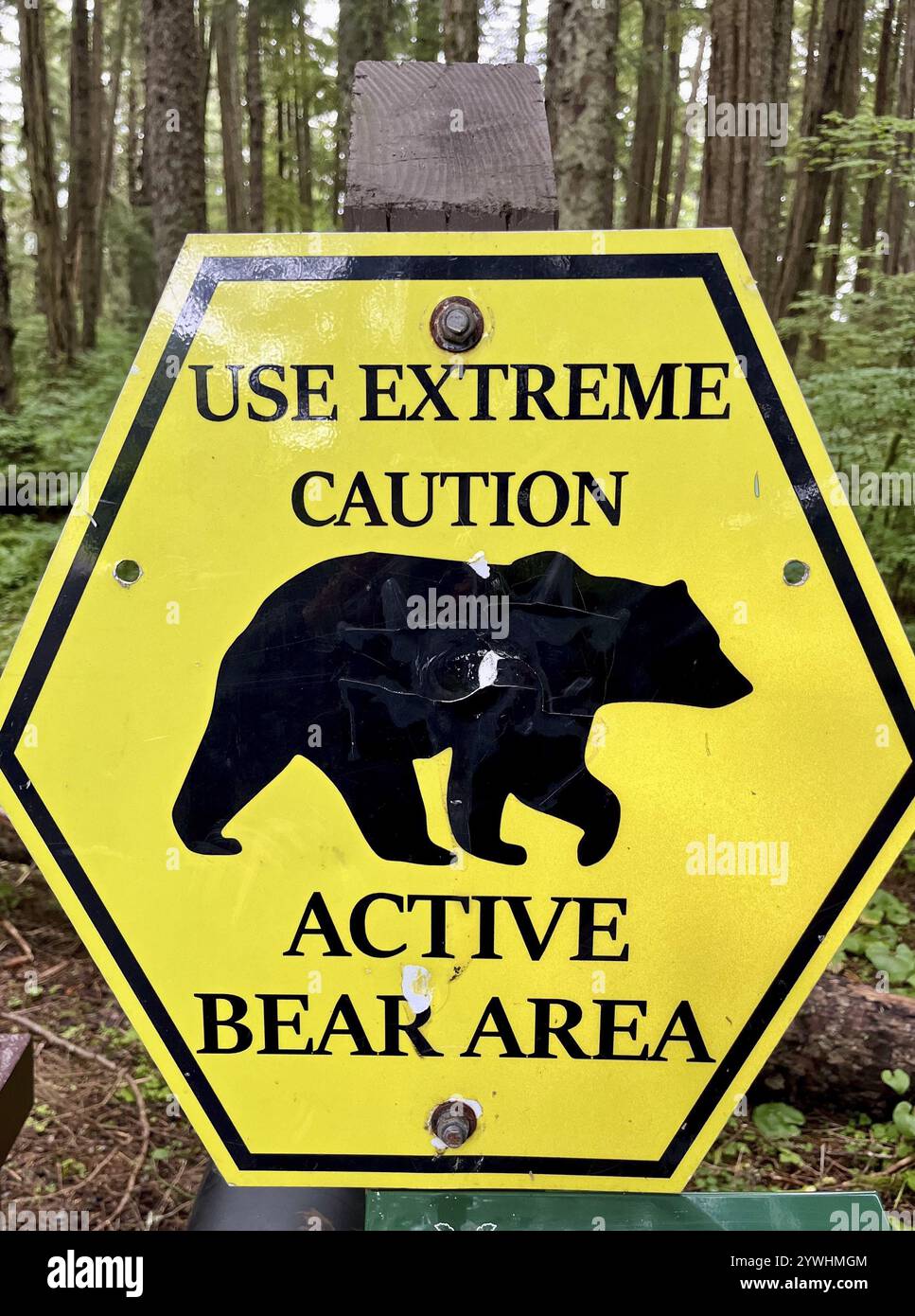 Cartello di avvertimento giallo nella foresta con la scritta "Use Extreme Caution Active Bear area", Alaska, USA, Nord America Foto Stock