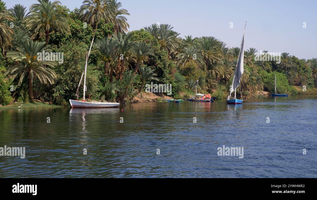 Barche da pesca e barche a remi sulla riva del fiume Nilo in Egitto Foto Stock