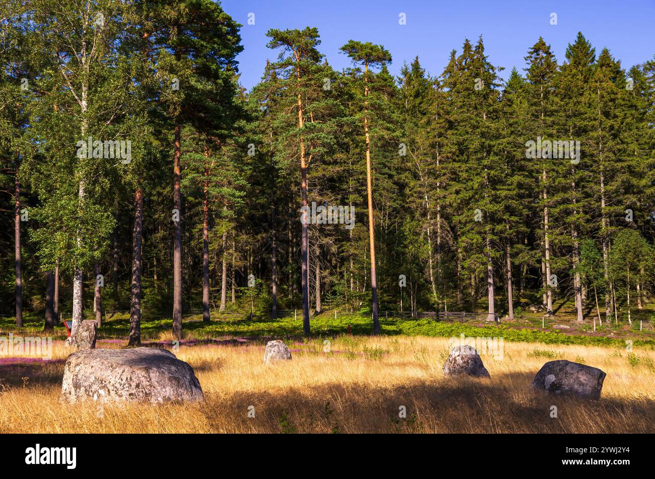 Anello di Domar, un cerchio di pietre e le prime testimonianze storiche della tarda età del ferro presso il sito di sepoltura di Blomsholm vicino a Strömstad a Bohuslän, Svezia. Foto Stock
