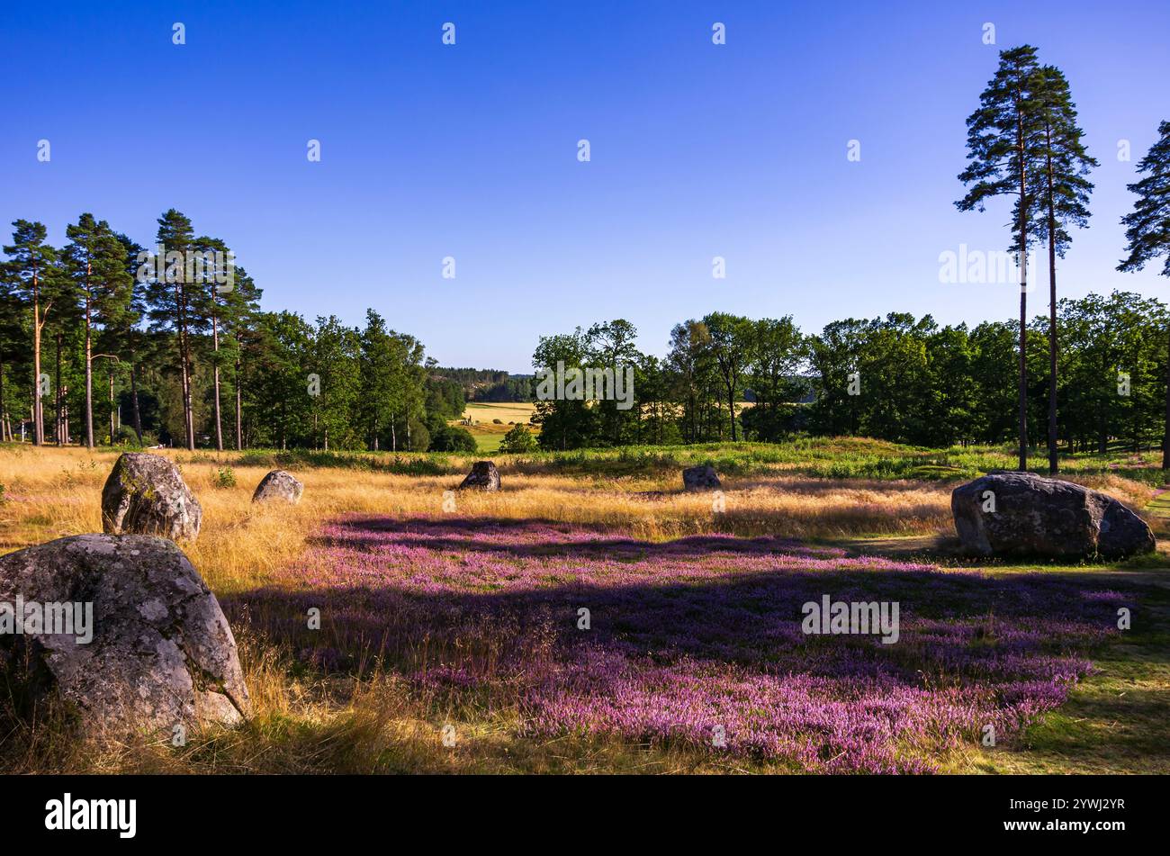 Anello di Domar, un cerchio di pietre e le prime testimonianze storiche della tarda età del ferro presso il sito di sepoltura di Blomsholm vicino a Strömstad a Bohuslän, Svezia. Foto Stock