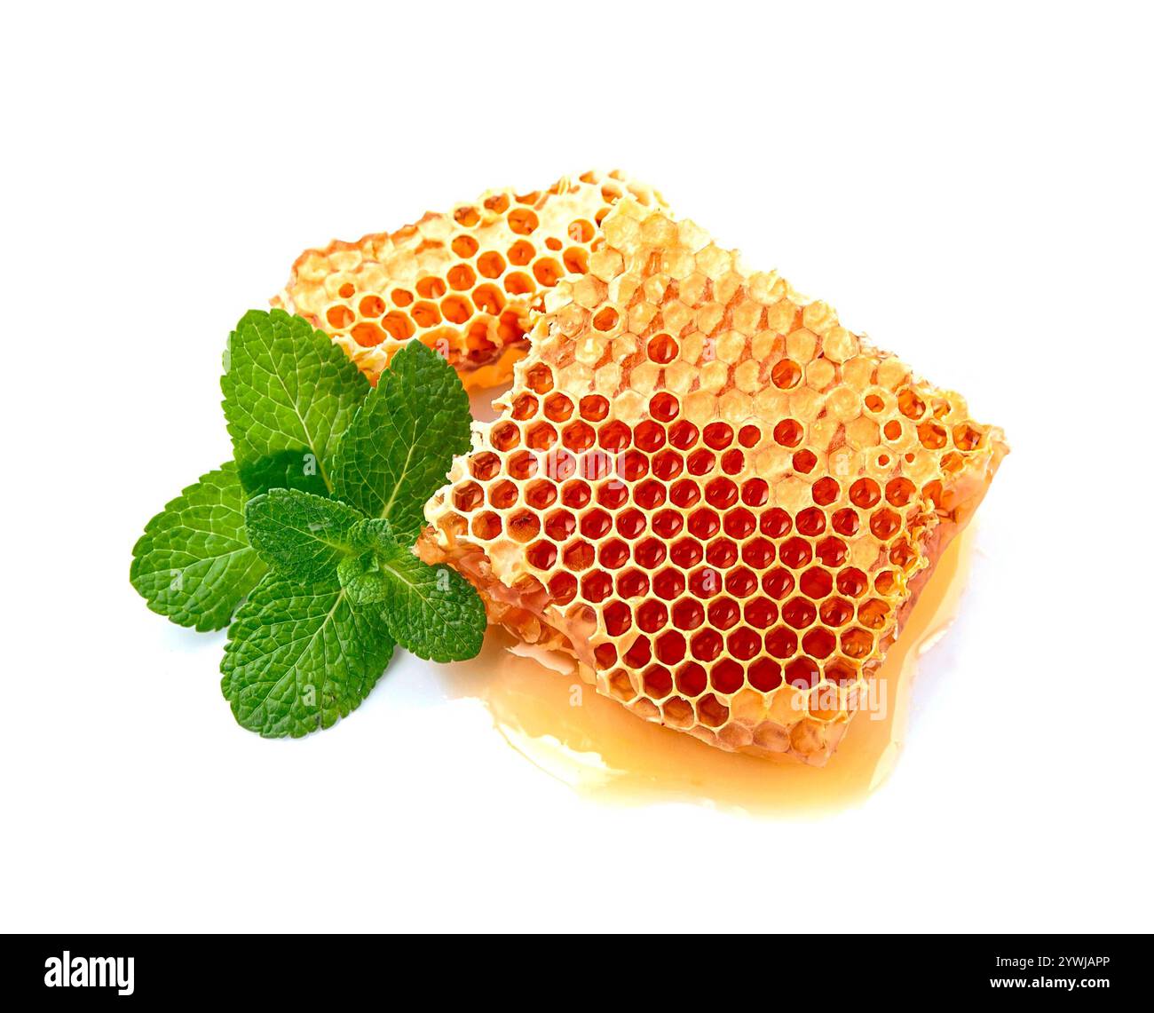 Favo dolce con miele liquido macinato su sfondi bianchi. Ingrediente alimentare sano... Cibo per ingredienti ayurveda. Foto Stock