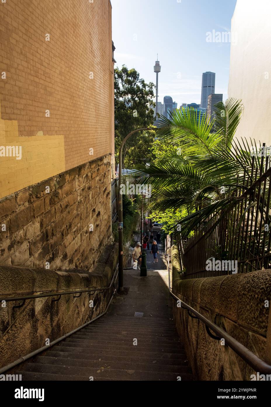 I gradini di Butler Scales, salendo fino a Victoria Street, Potts Point, Sydney Foto Stock
